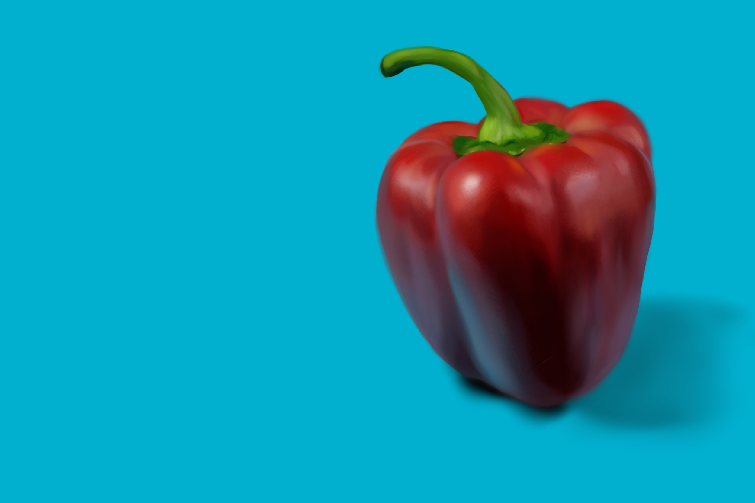 Exercice4-etude-photo1 v2.jpg