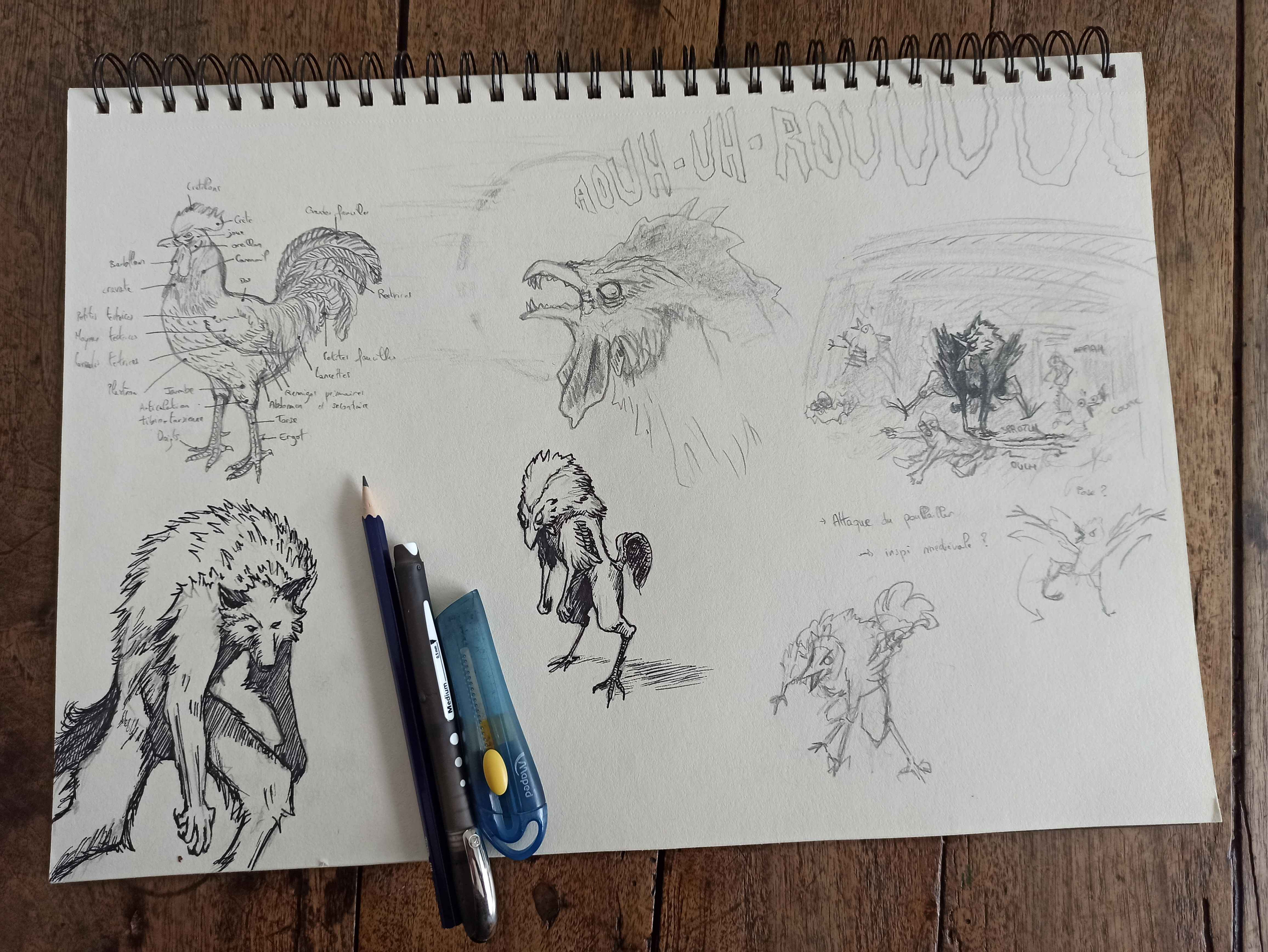 Croquis Coq-Garou sur carnet