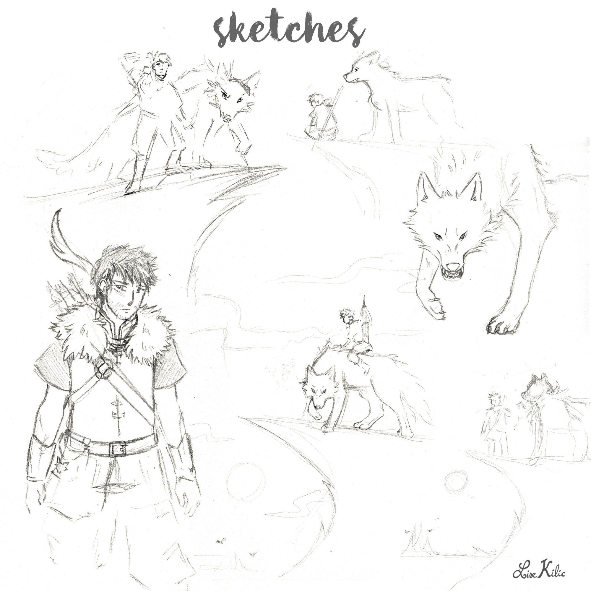 Loup-sketches.jpg