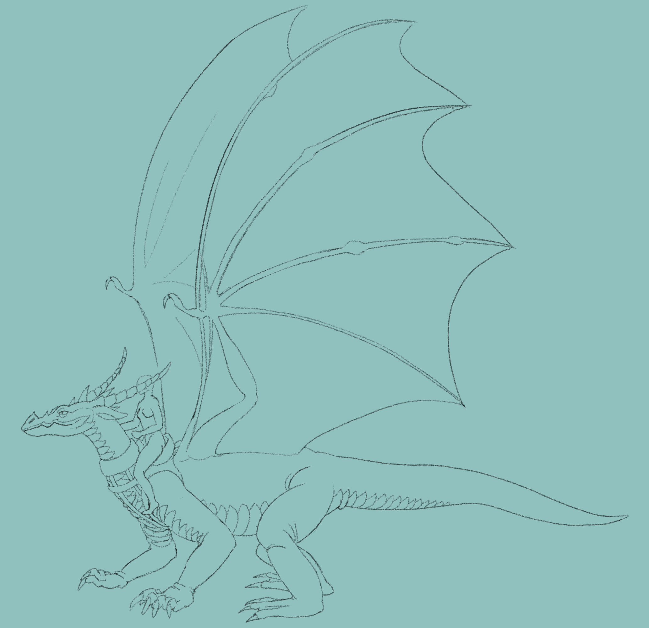 Sans titre-1 copie.jpg