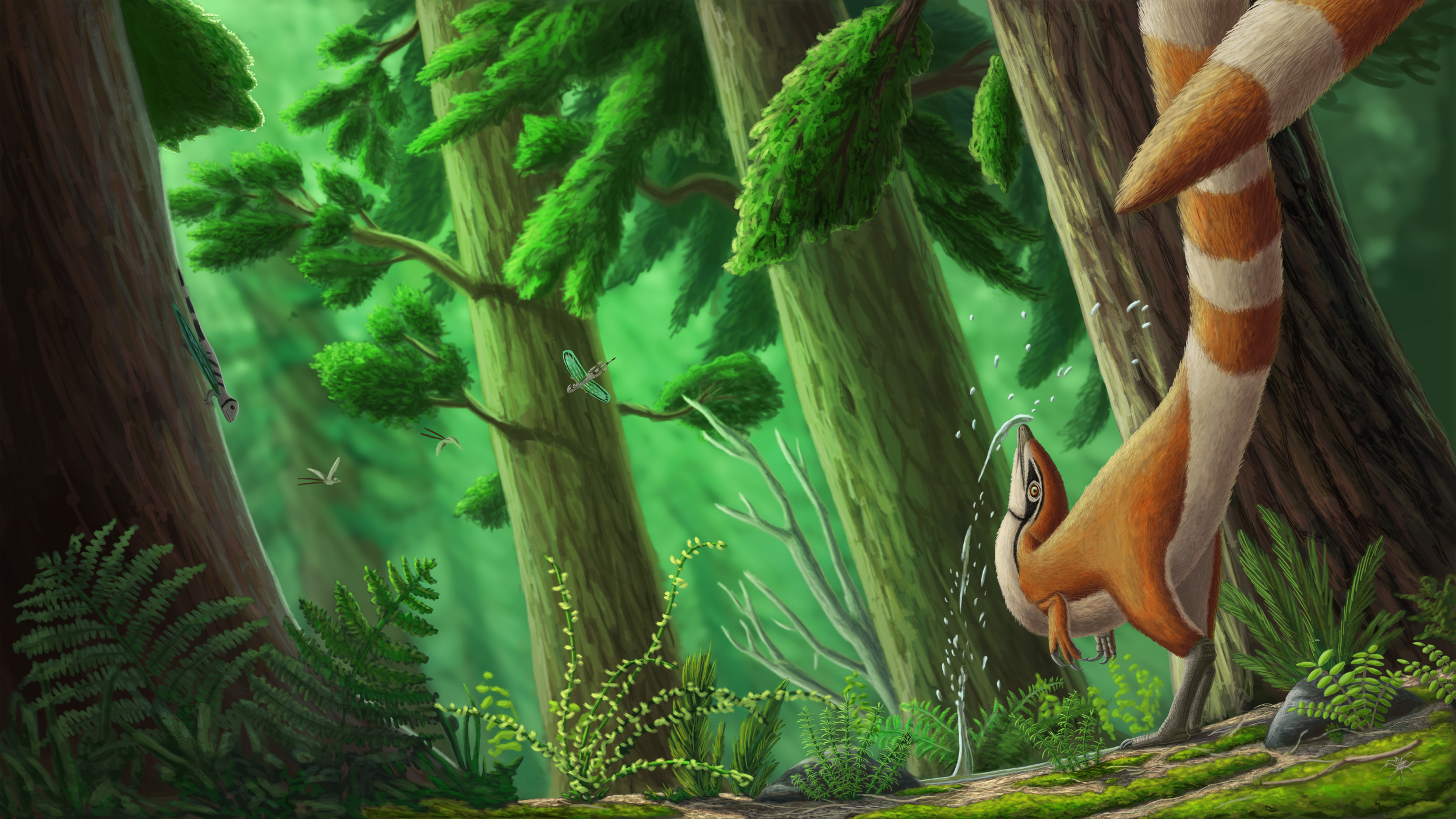 Sinosauropteryx nettoyage.jpg