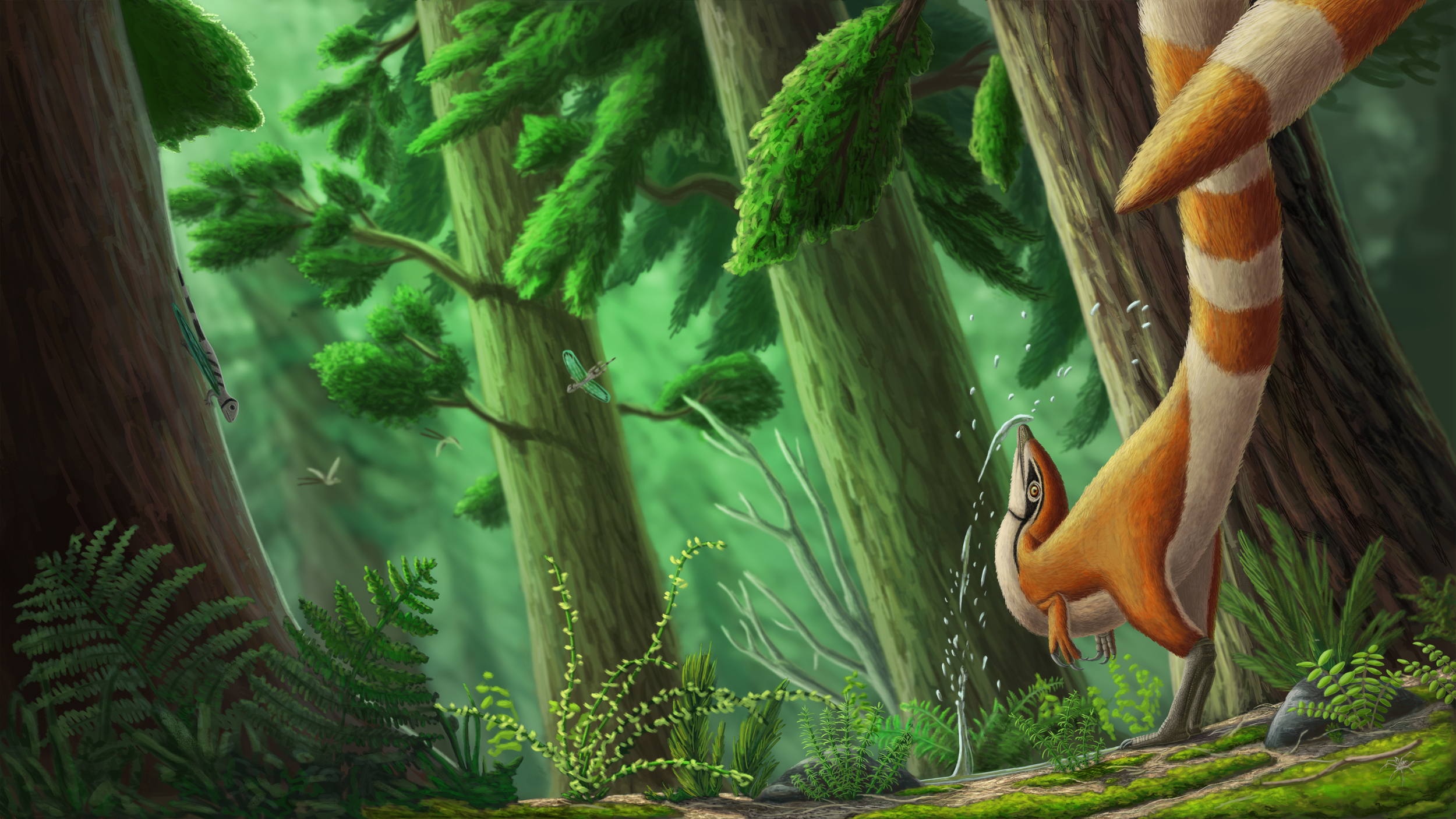 Sinosauropteryx nettoyage.jpg