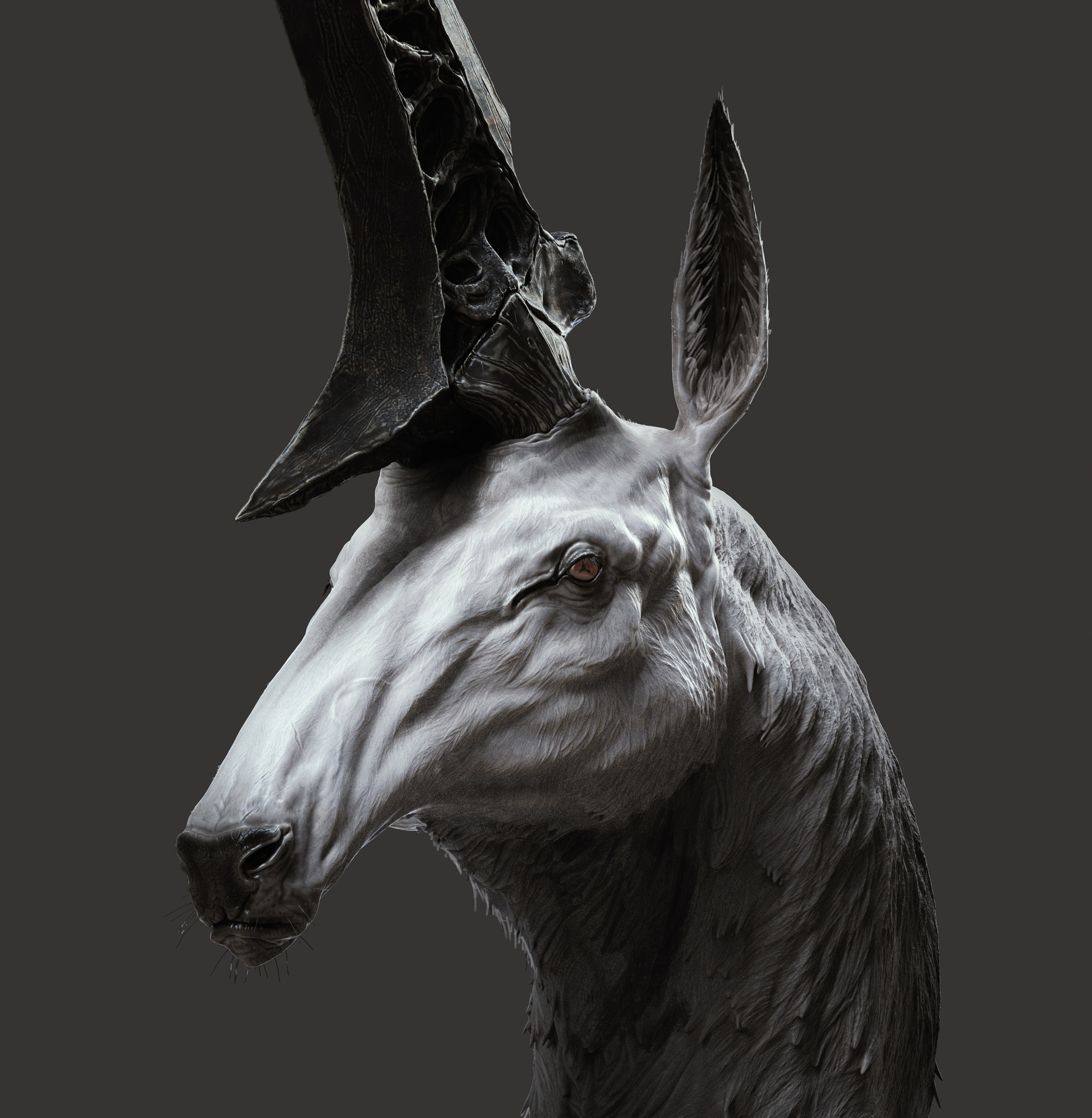 UnicornHead01.thumb.jpg.2e191864e26b023f3f59ea3dc5d7117d.jpg