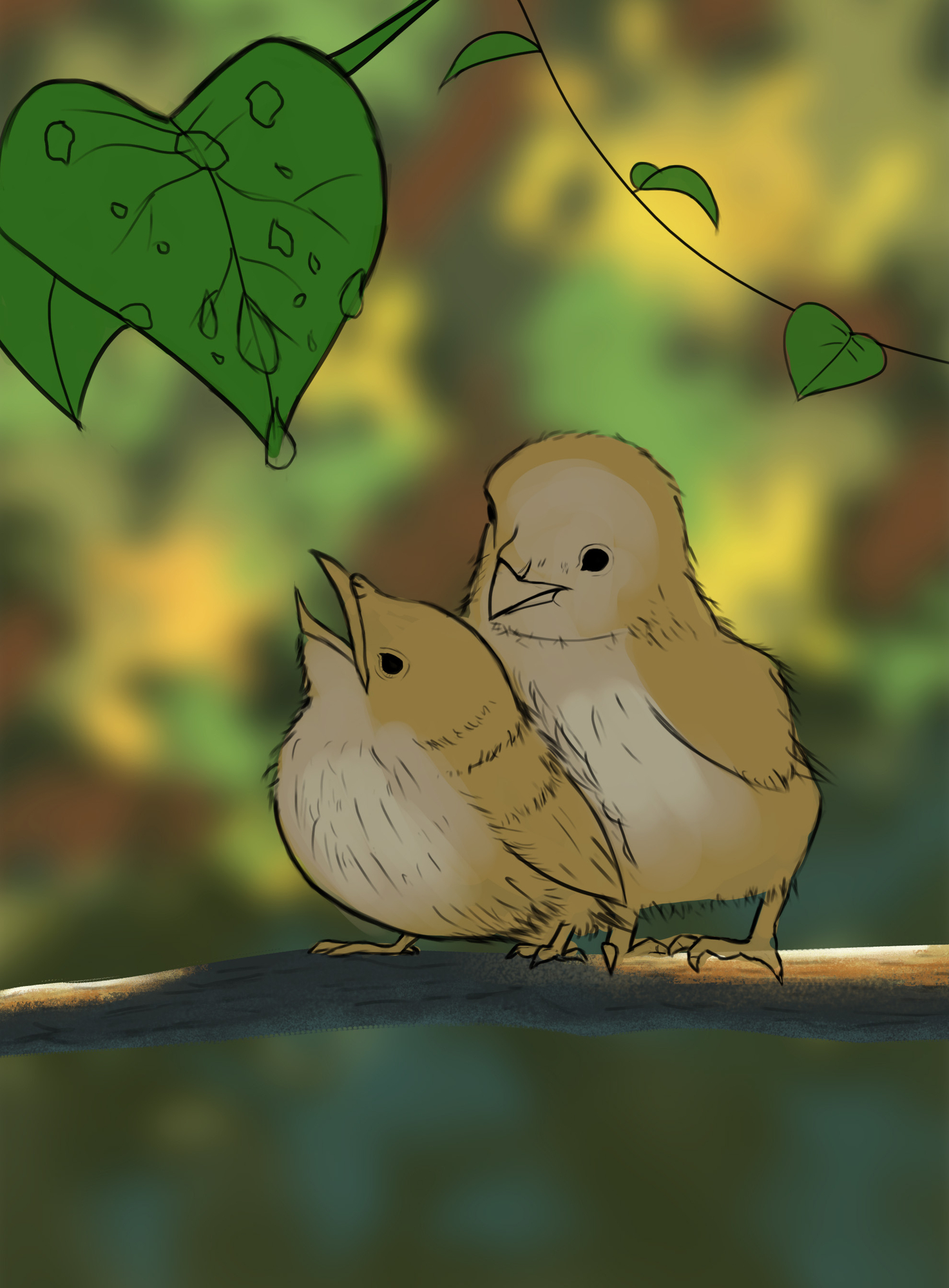 Croquis oisillons.jpg