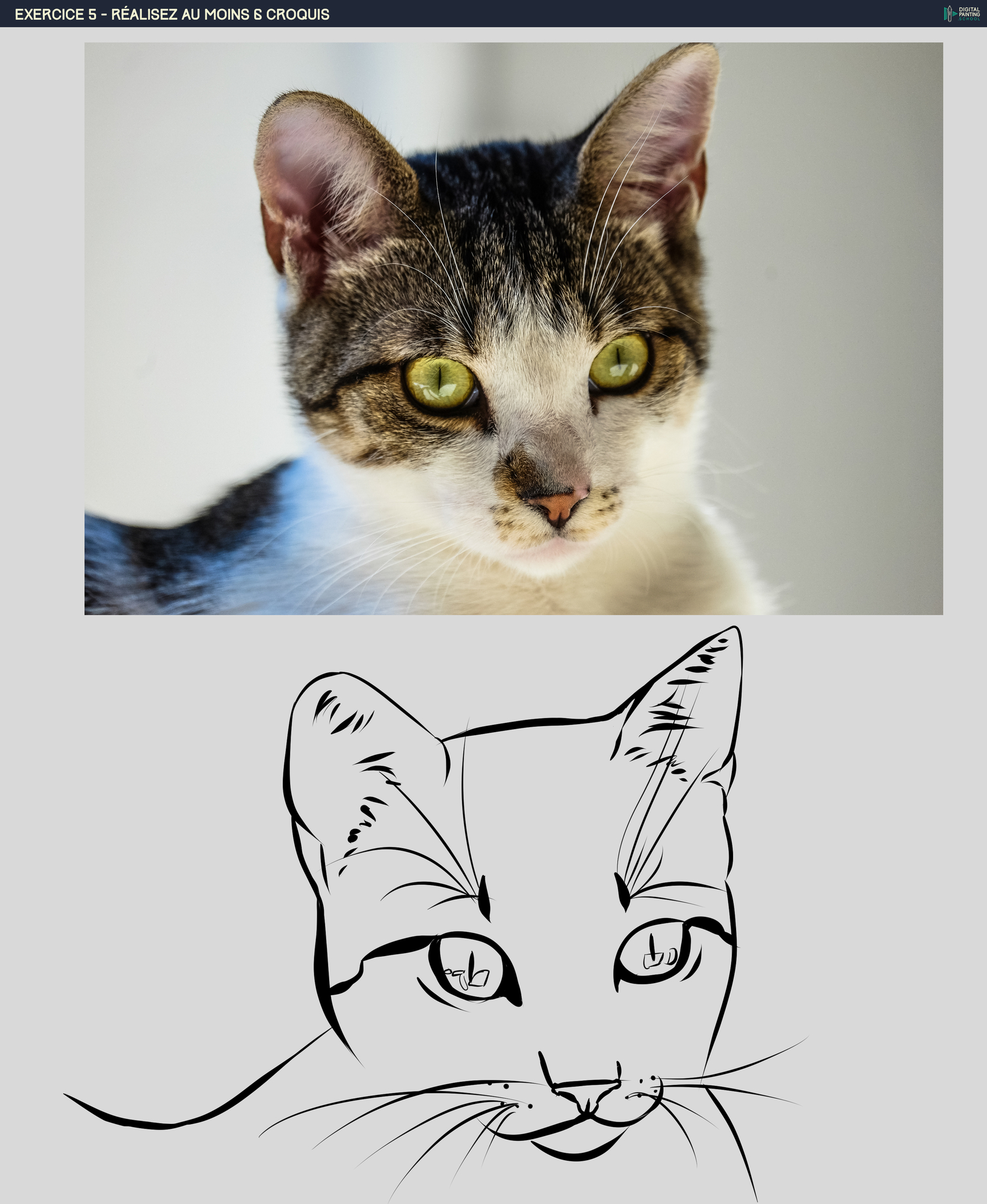 DPS-Prog-1-2-exercice5 chat.jpg