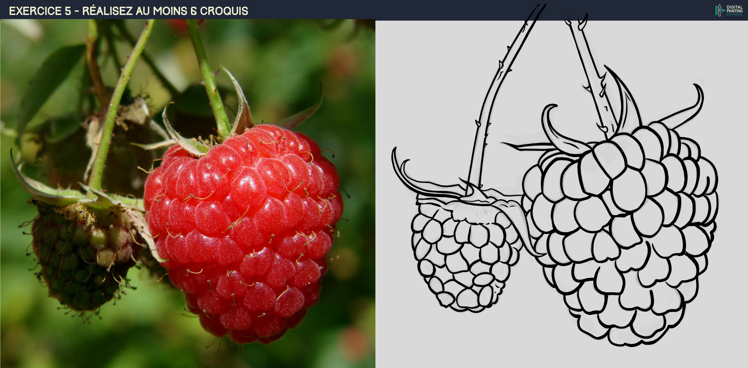 DPS-Prog-1-2-exo5_02 framboise_03h45.jpg