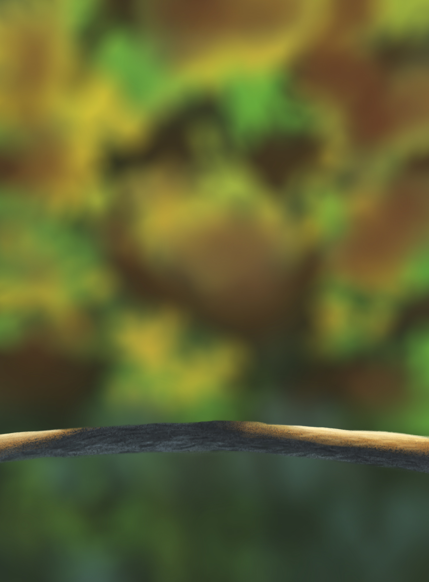 DPS Prog-1-1-Exercice5-Oiseau-Commencement fini.jpg