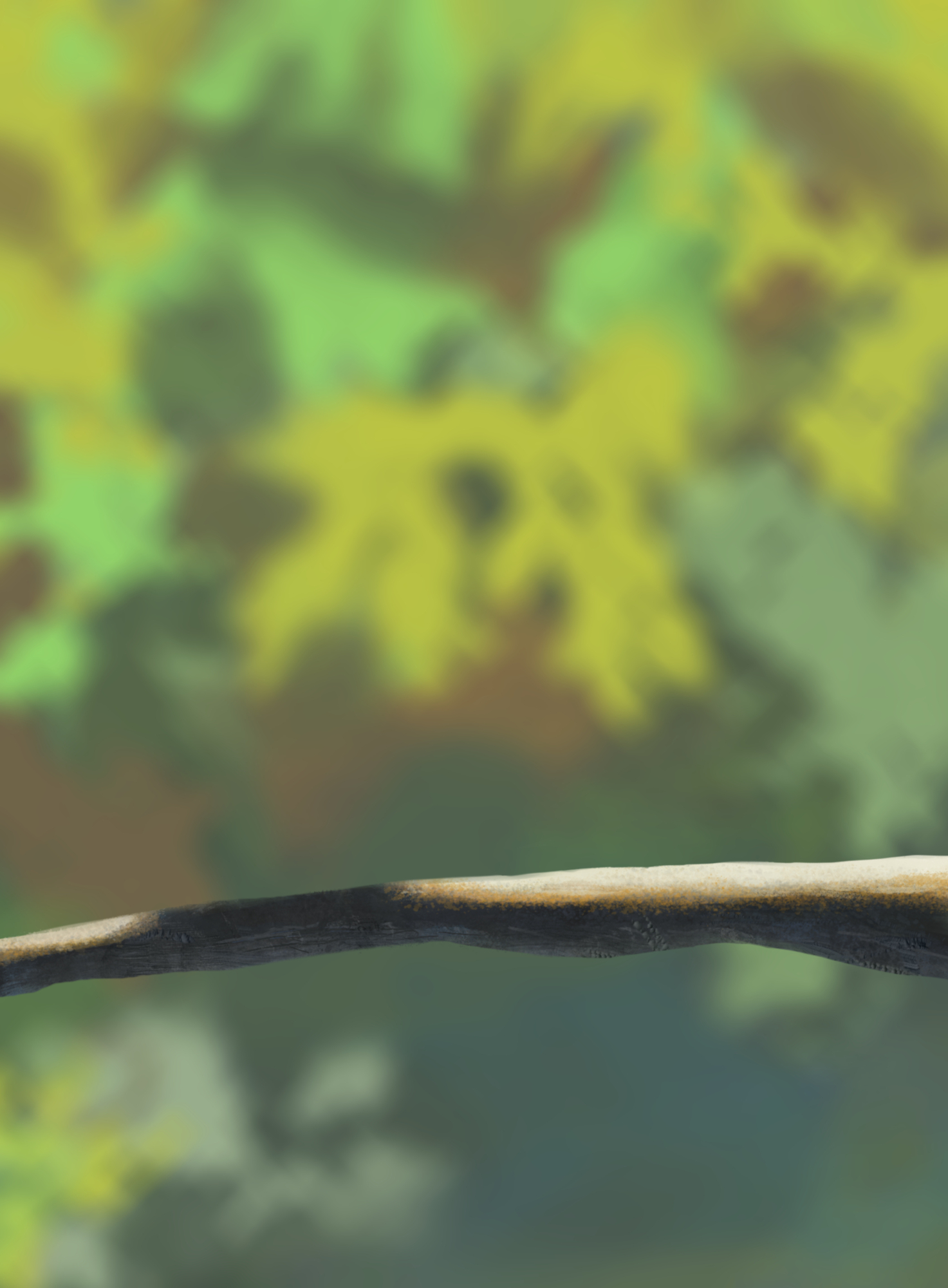 Exercice 5 oisillons jpav2.jpg