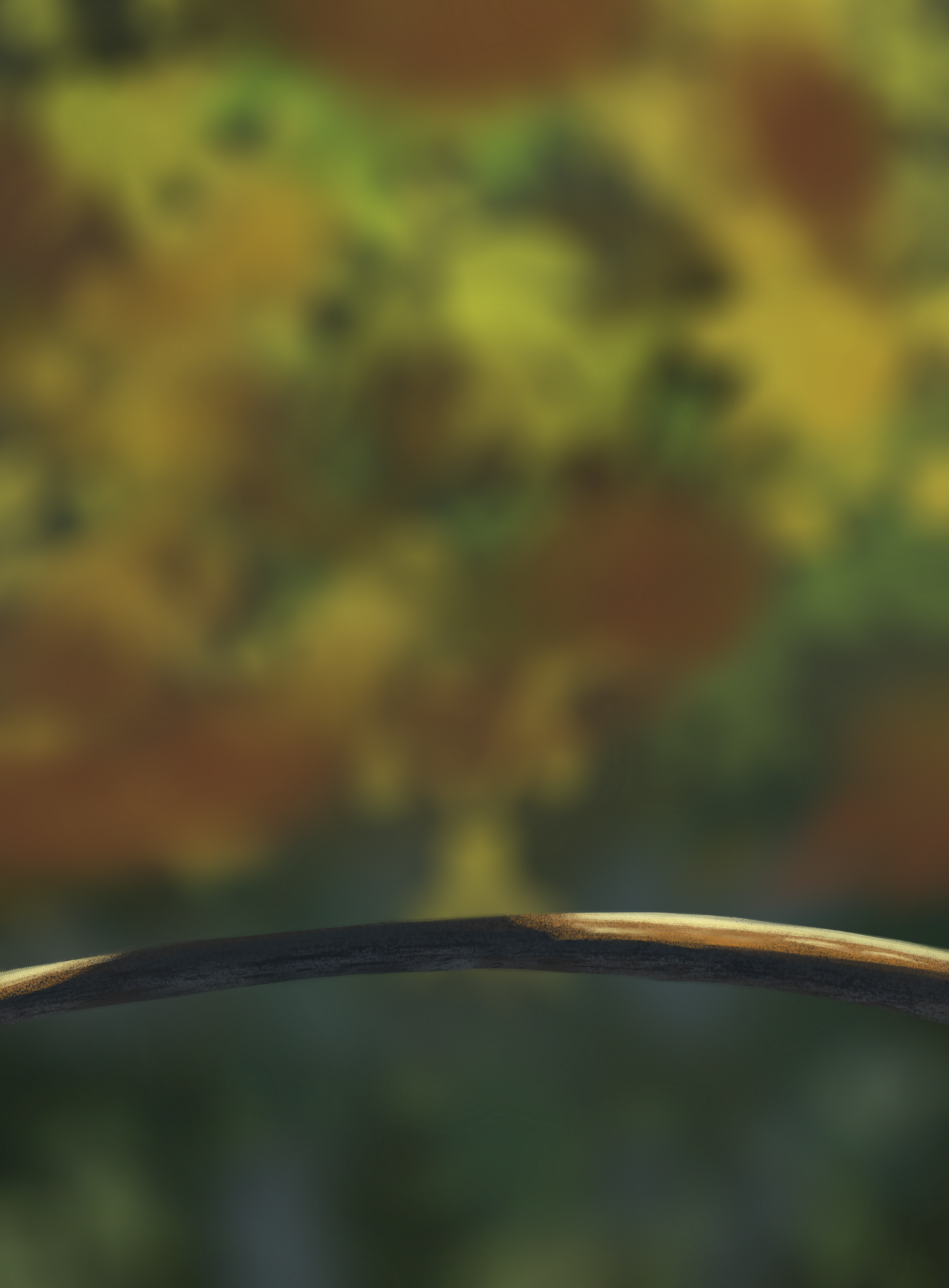 Fond oisillons 2.png