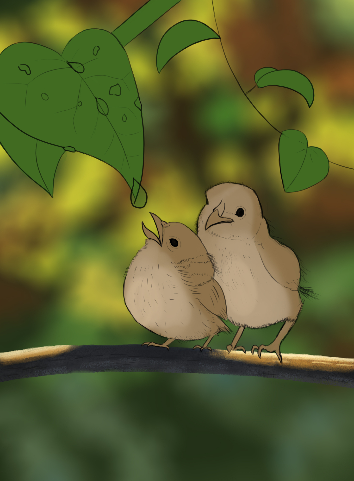 croquis pioupiou.jpg