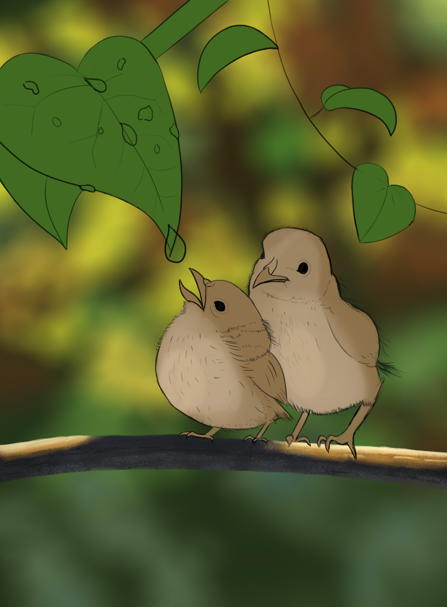 croquis pioupiou.jpg