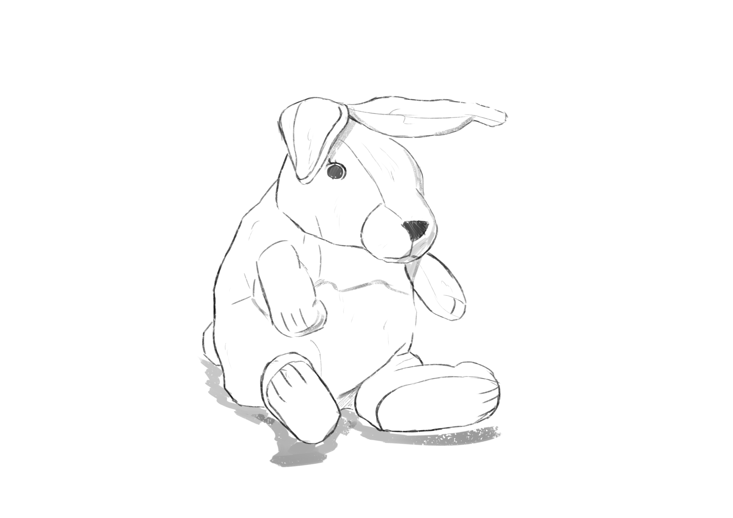lapin.jpg