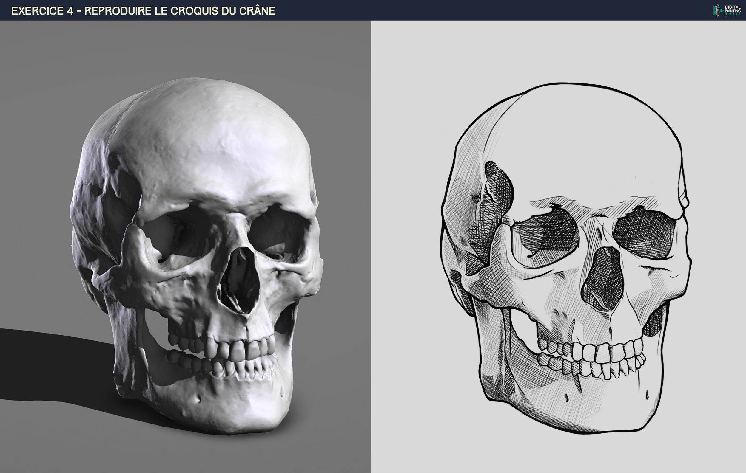 DPS-Prog-1-2-2-démo-crane-croquis fini.jpg