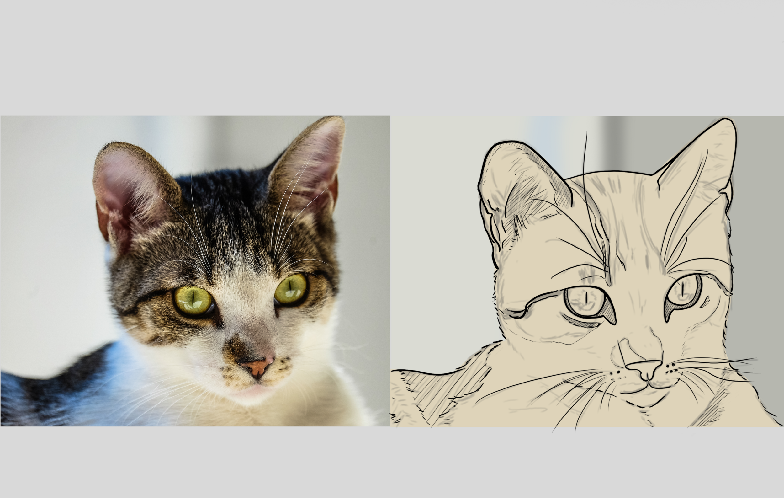 DPS-Prog-1-2-exercice5 croquis 5.png