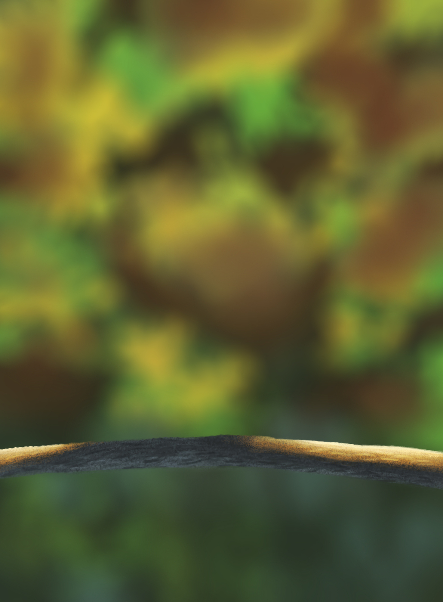 DPS Prog-1-1-Exercice5-Oiseau-Commencement modif.jpg