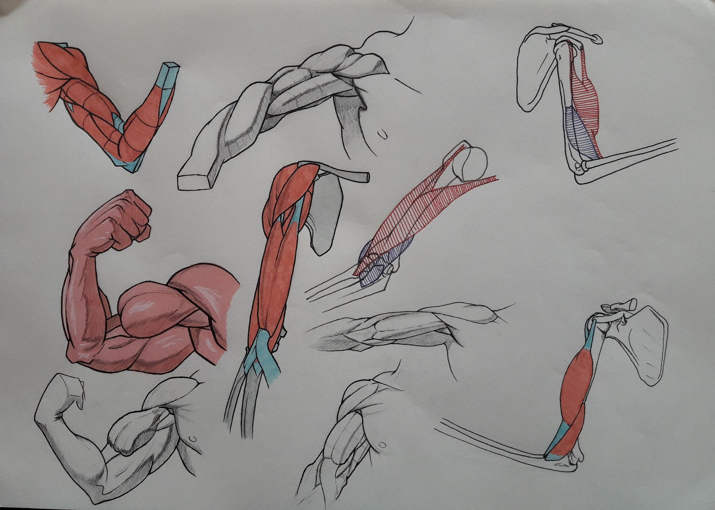 Défi 08 Aout 2025_01.jpg