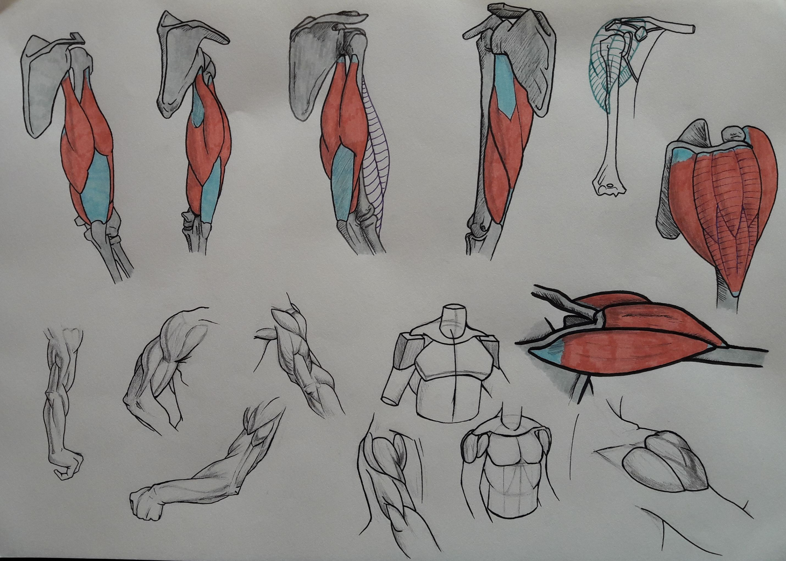 Défi 08 Aout 2025_02.jpg