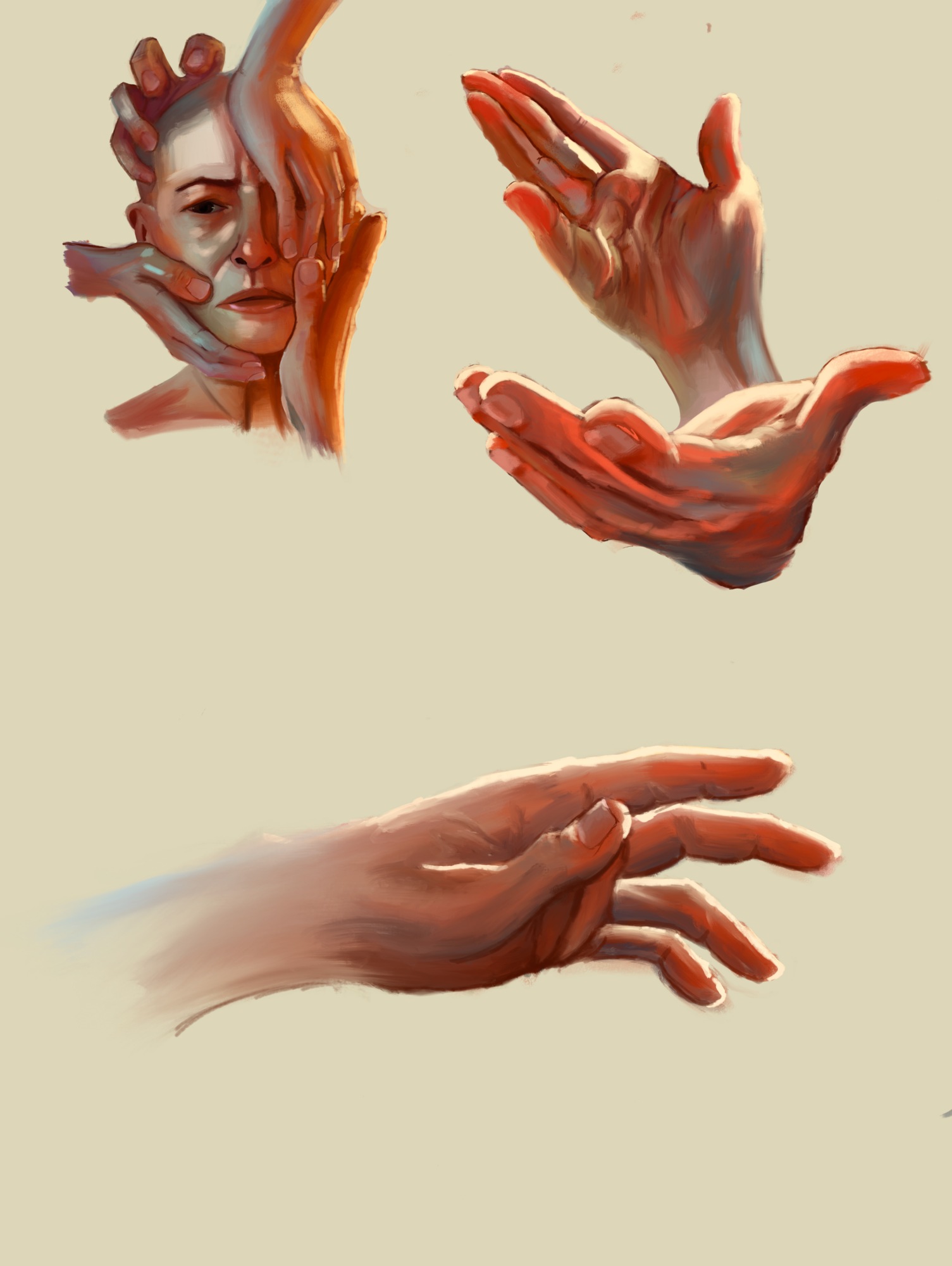 Exo anatomie planche 2.png