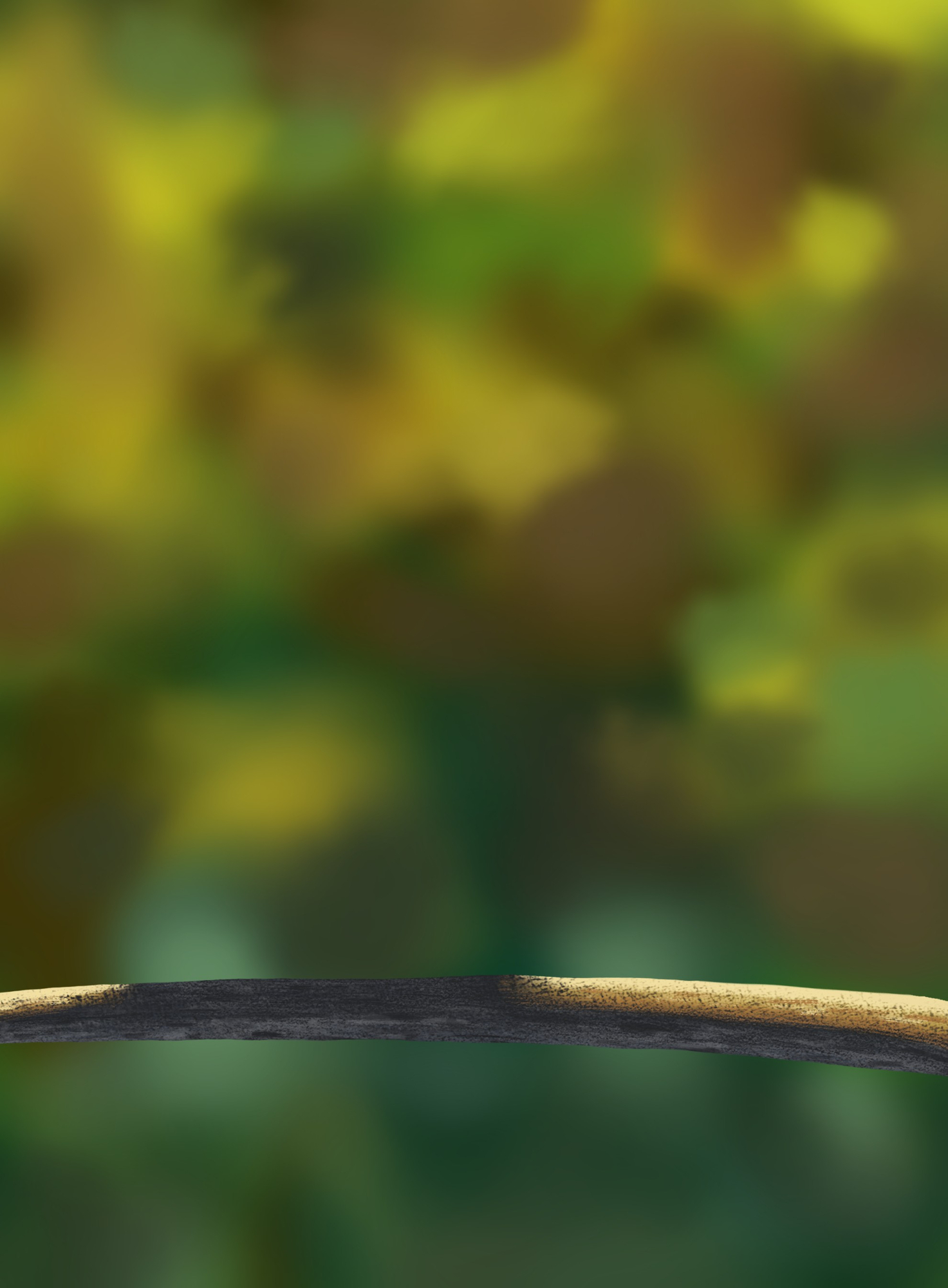 Illustration oisillons2.jpg