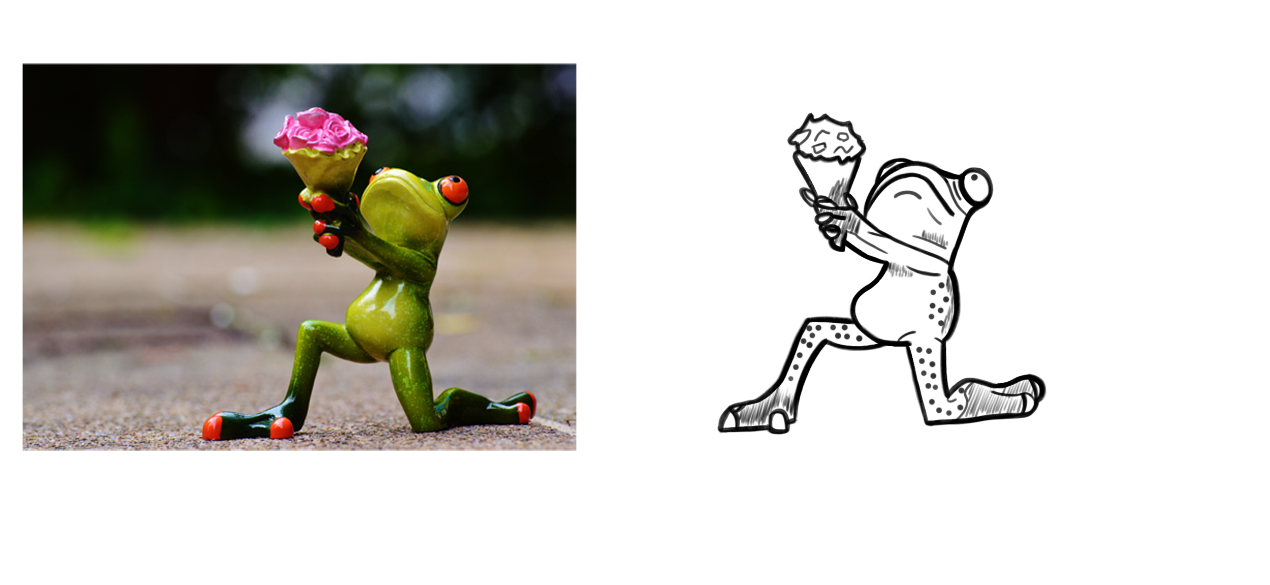 croquis-grenouille-etude + ombre.png