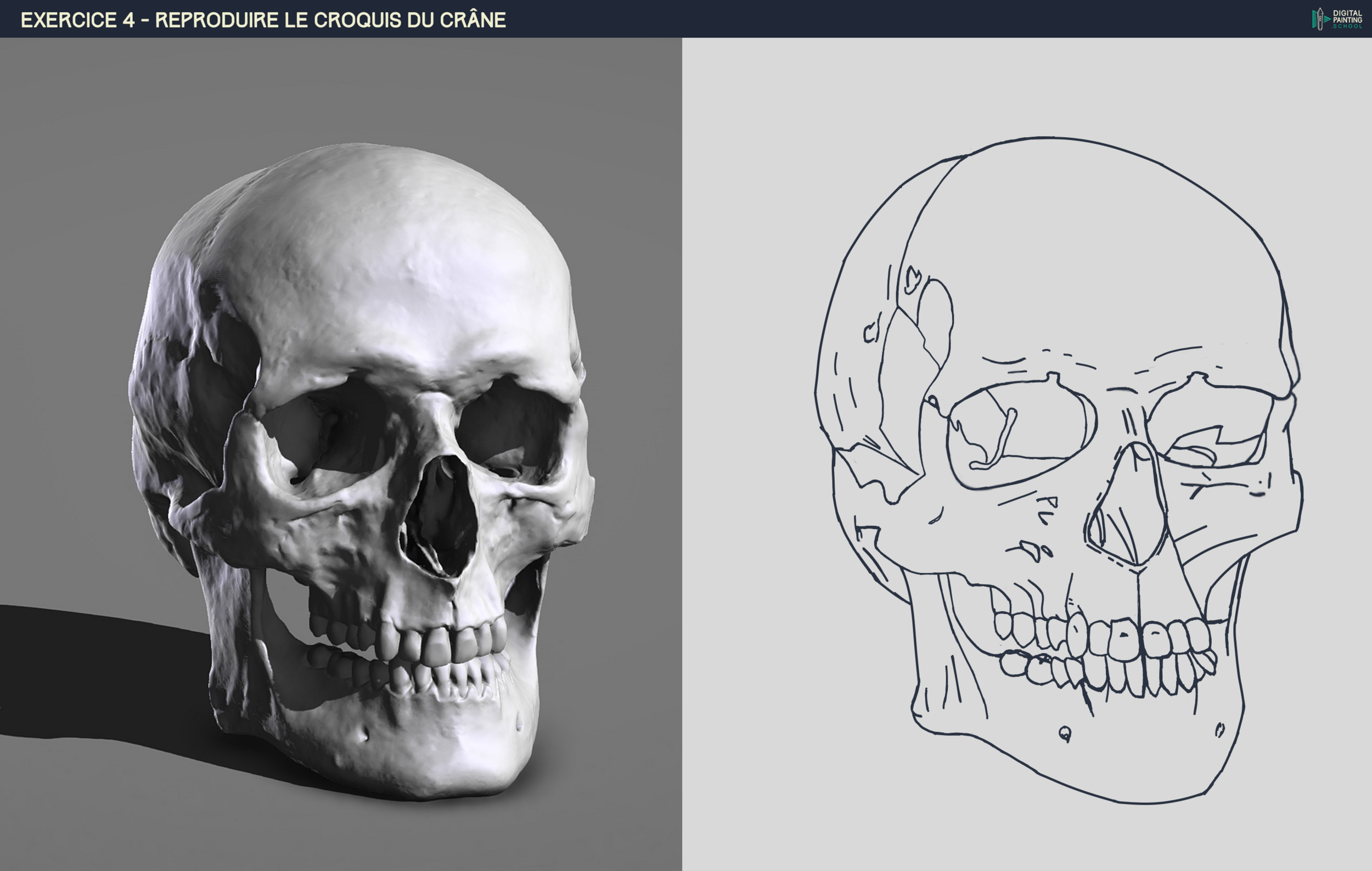 25-09-23 - DPS-Prog-1-2-2-démo-crane-croquis.png