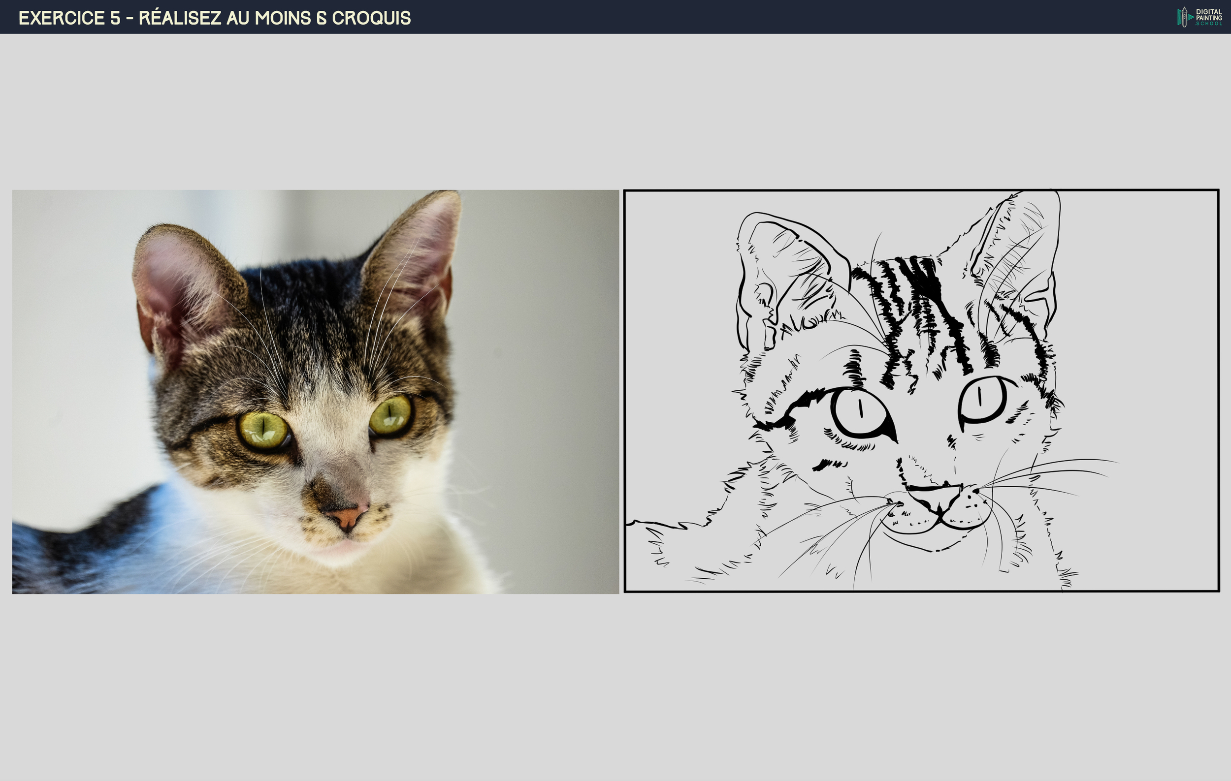 CROQUIS 4:6 CHAT JPEG.jpg