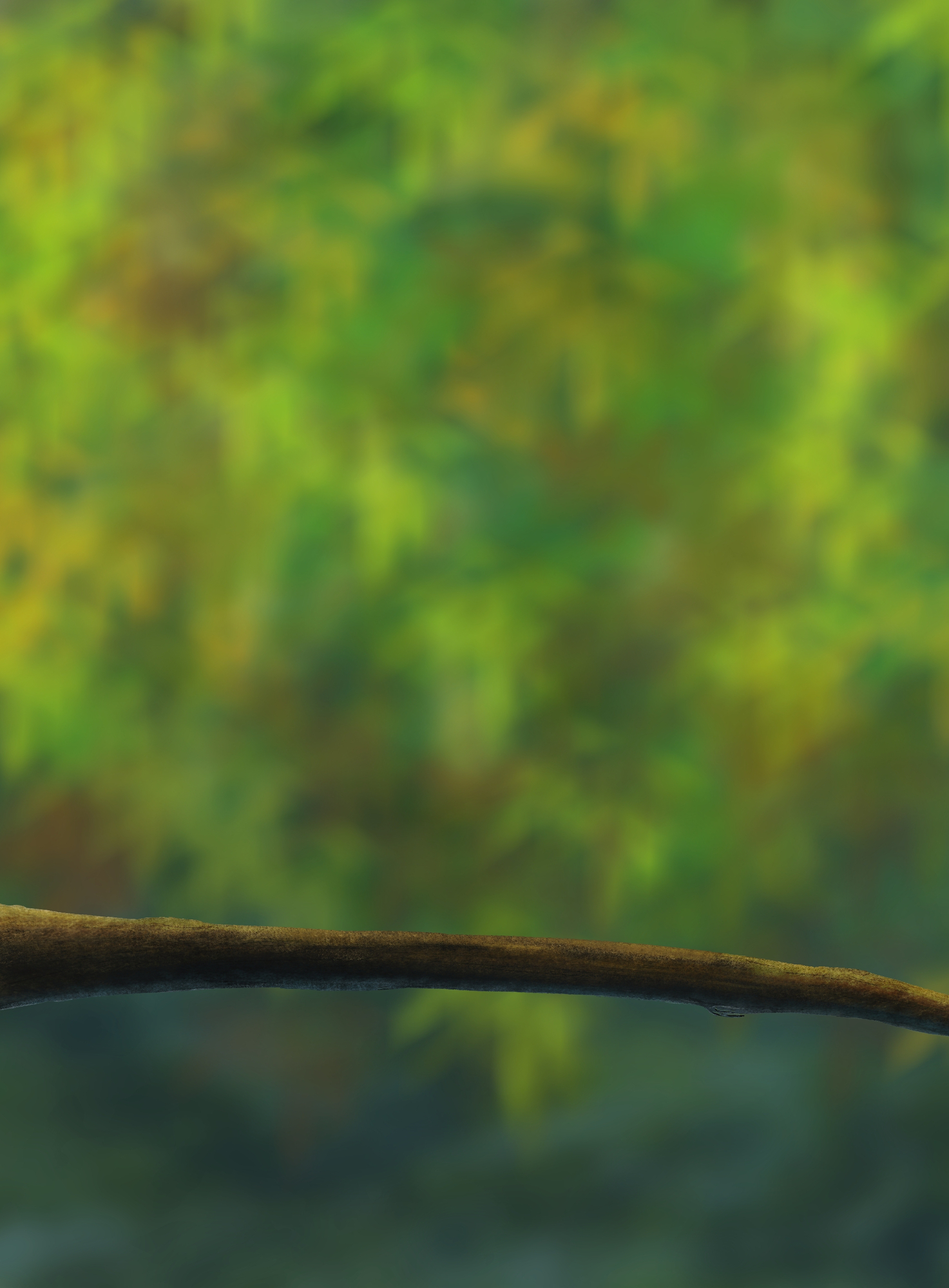 DPS Prog-1-1-Exercice5-Oiseau 01.jpg