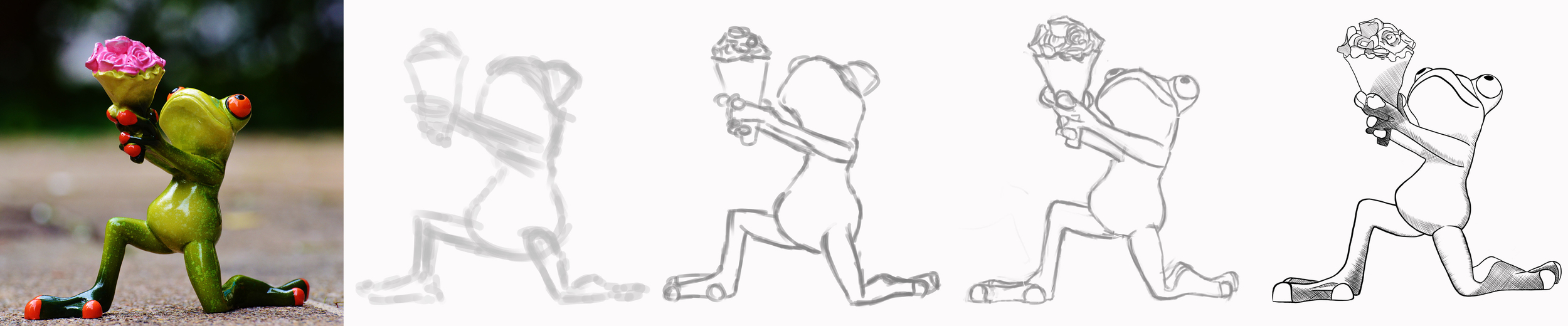 Evolution grenouille.jpg