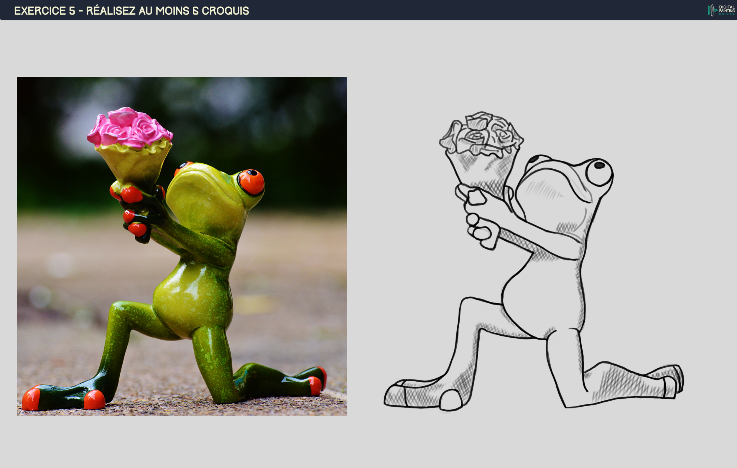 Exercice5_Grenouille.thumb.png.579f1a70771b9fcb69e8a6a257fe485a.png