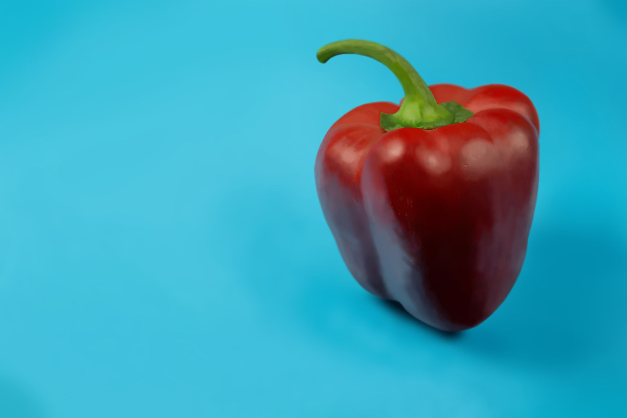 Exo 4.1 Poivron Demia.jpg