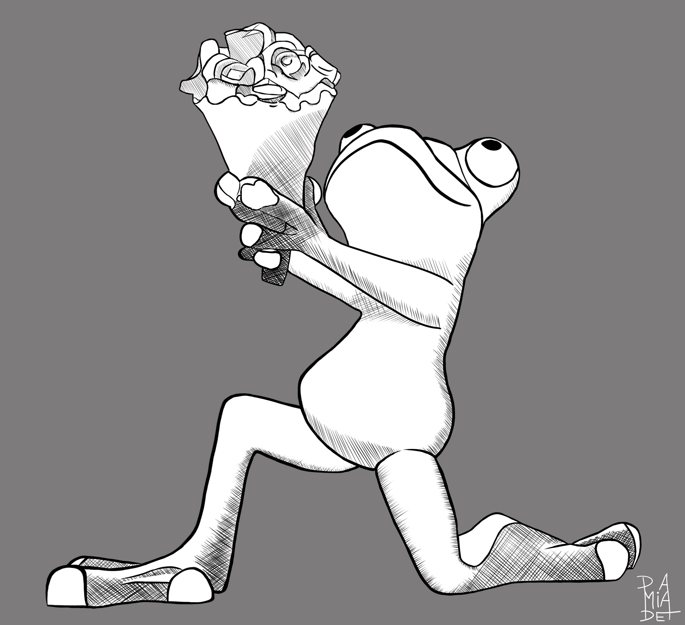 Grenouille fond gris.jpg