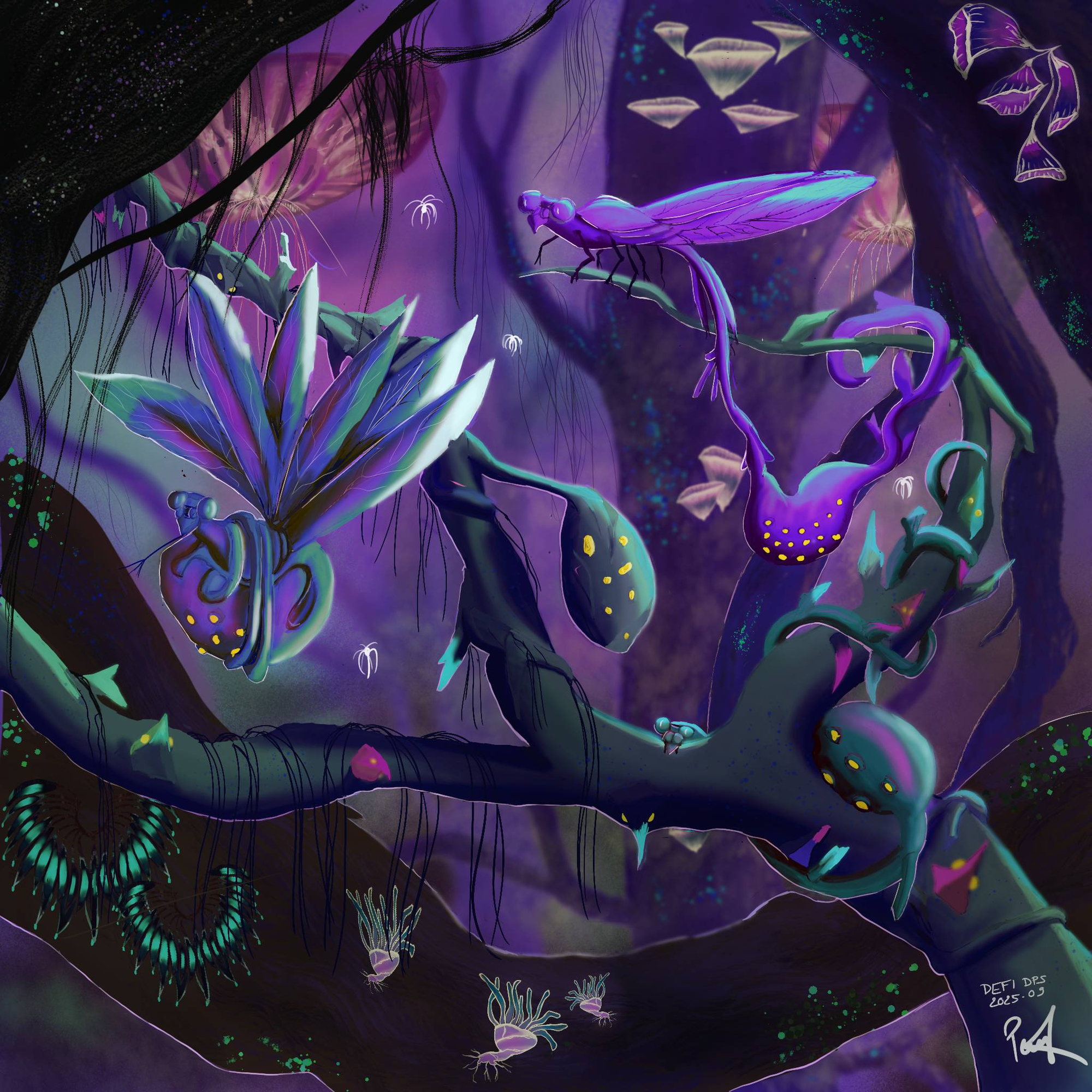 Serlax_Couleur v2025 09 23_002.jpg