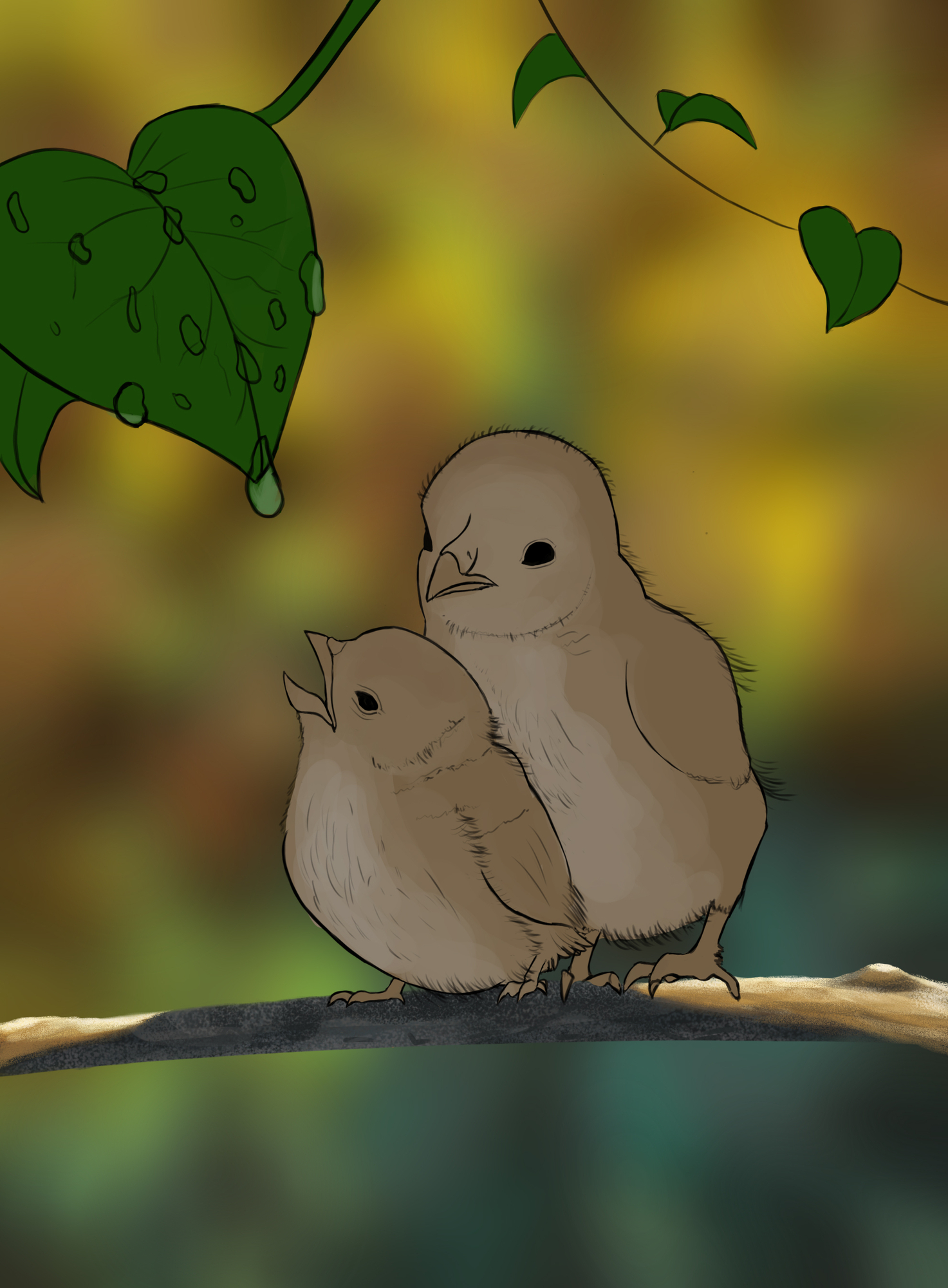 chapitre 2 exercise 6 etape 2 sur 5 oisillons.jpg