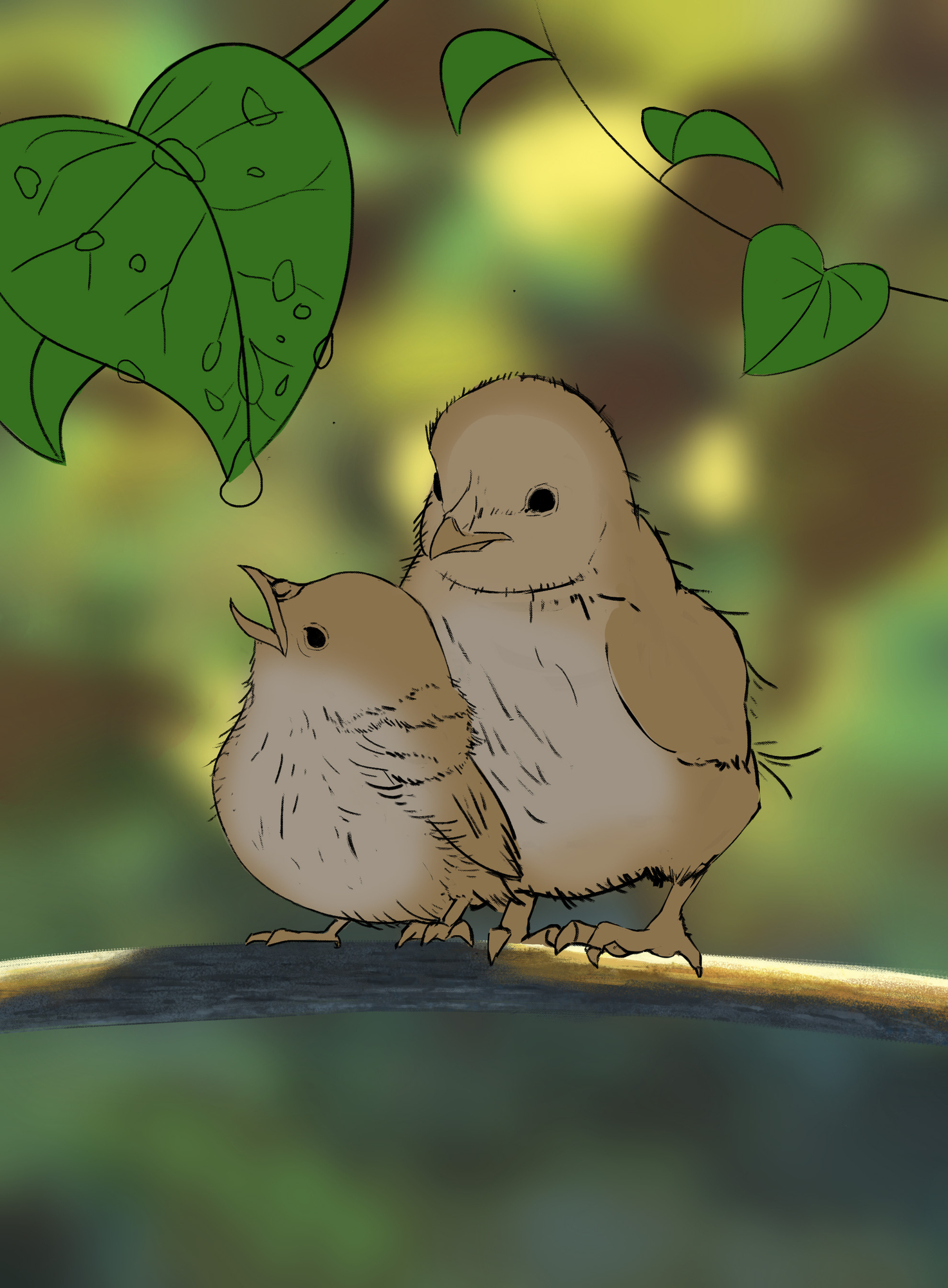 Background oisillons correction.jpg