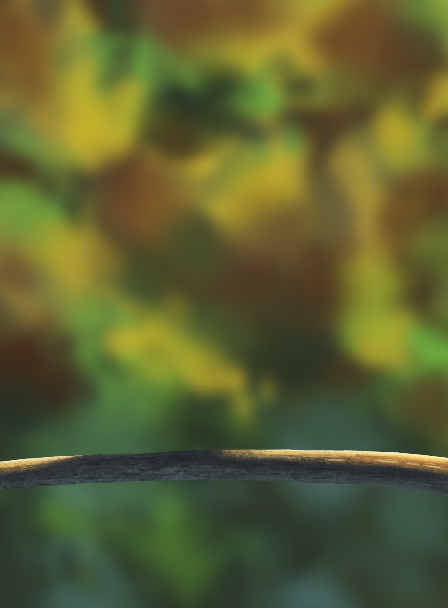 Chap 1 Exo 5 Illustration Oisillons Demia.jpg