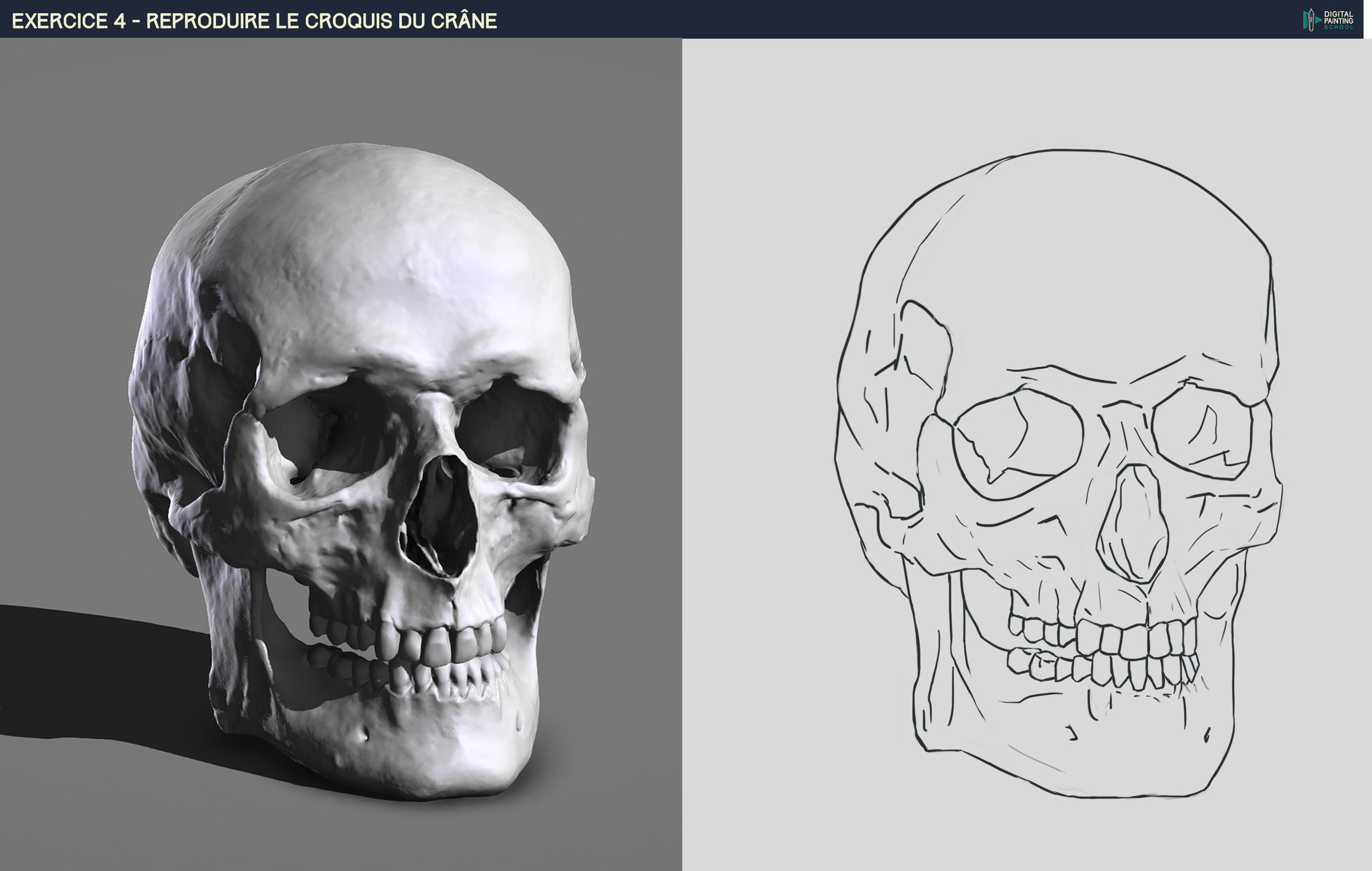 DPS-Prog-1-2-2-démo-crane-croquis correction.jpg