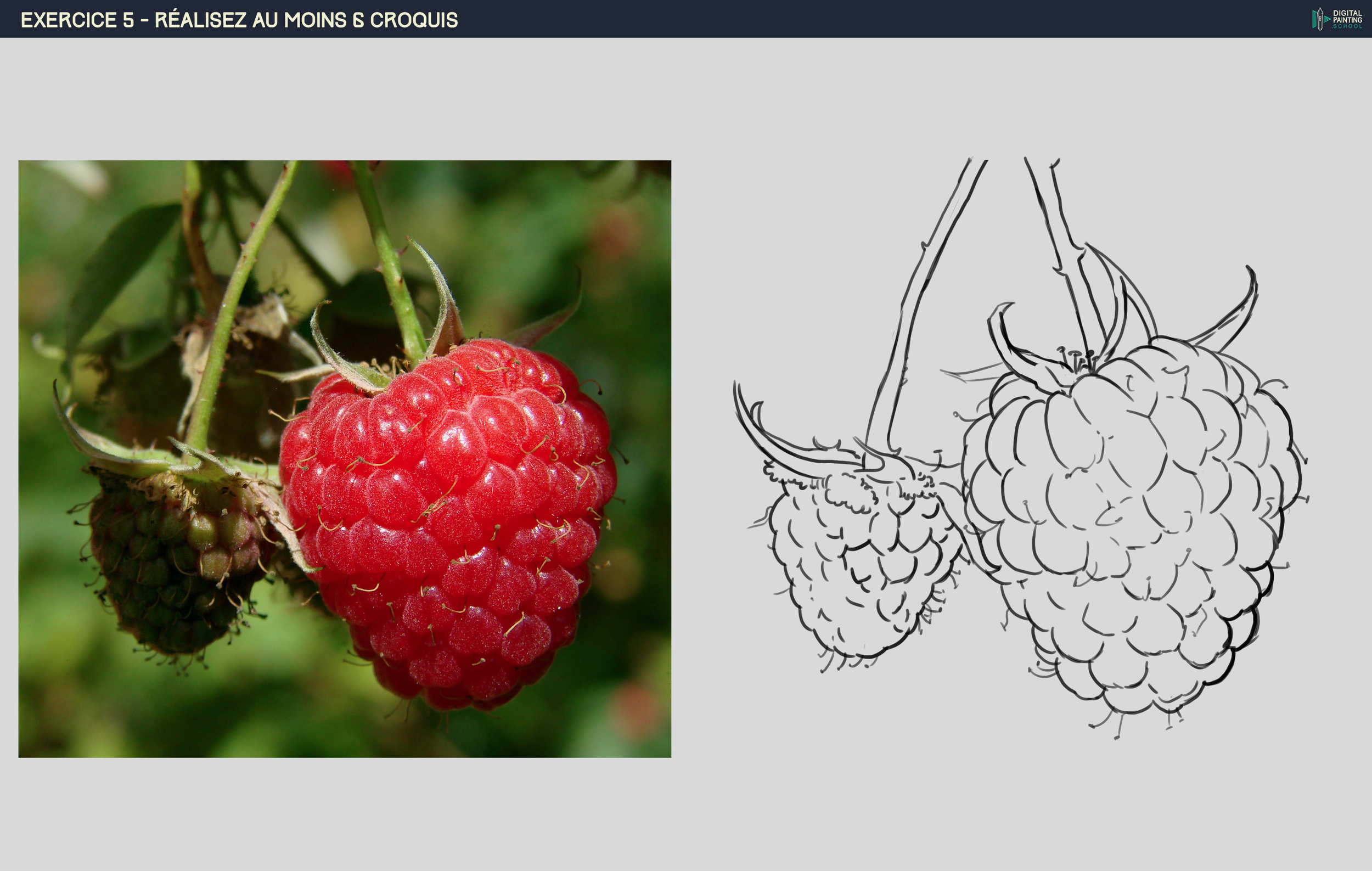 DPS-Prog-1-2-exercice5_framboises.jpg