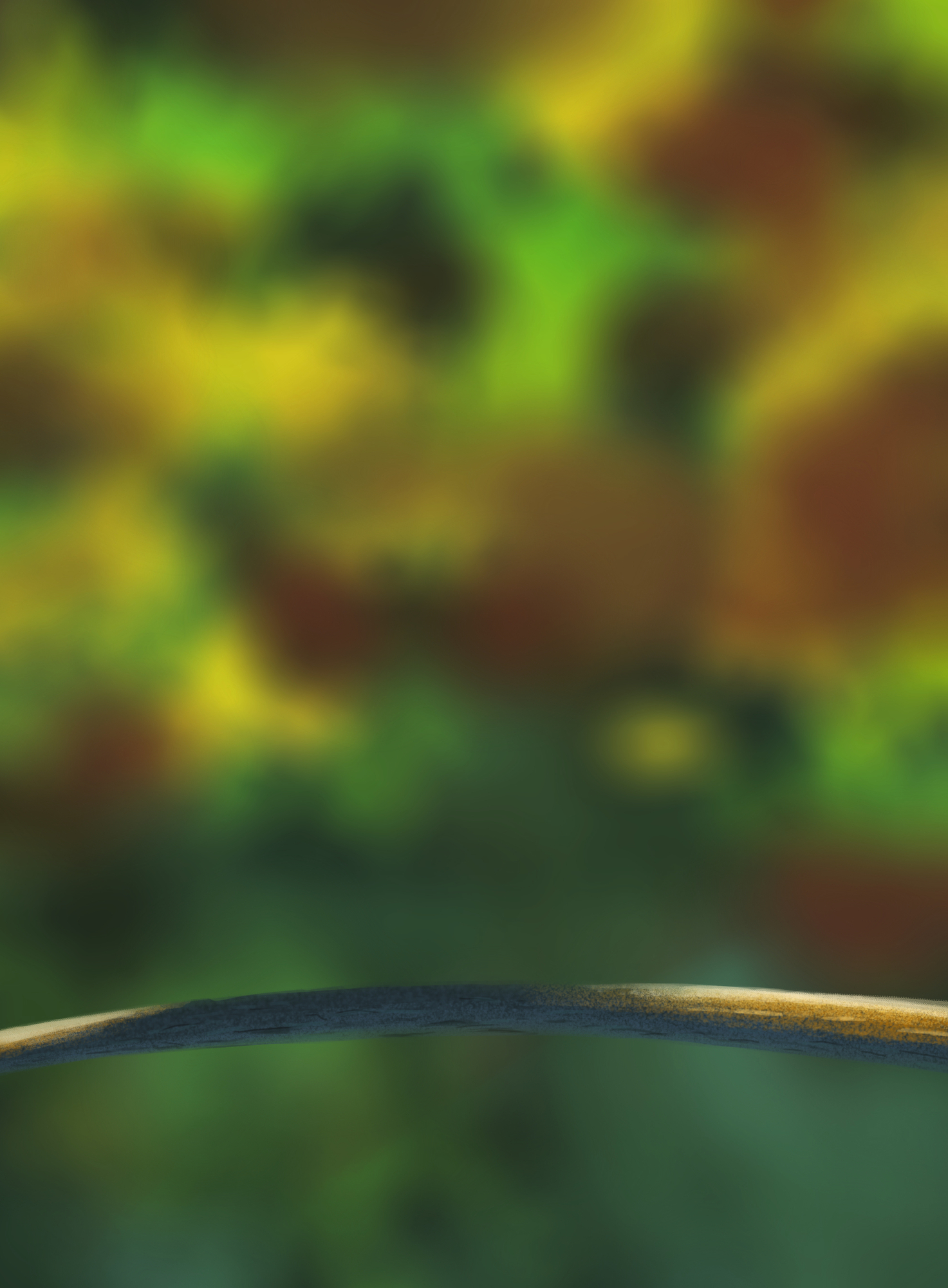 Exercice 5 - Oisillons copie.jpg