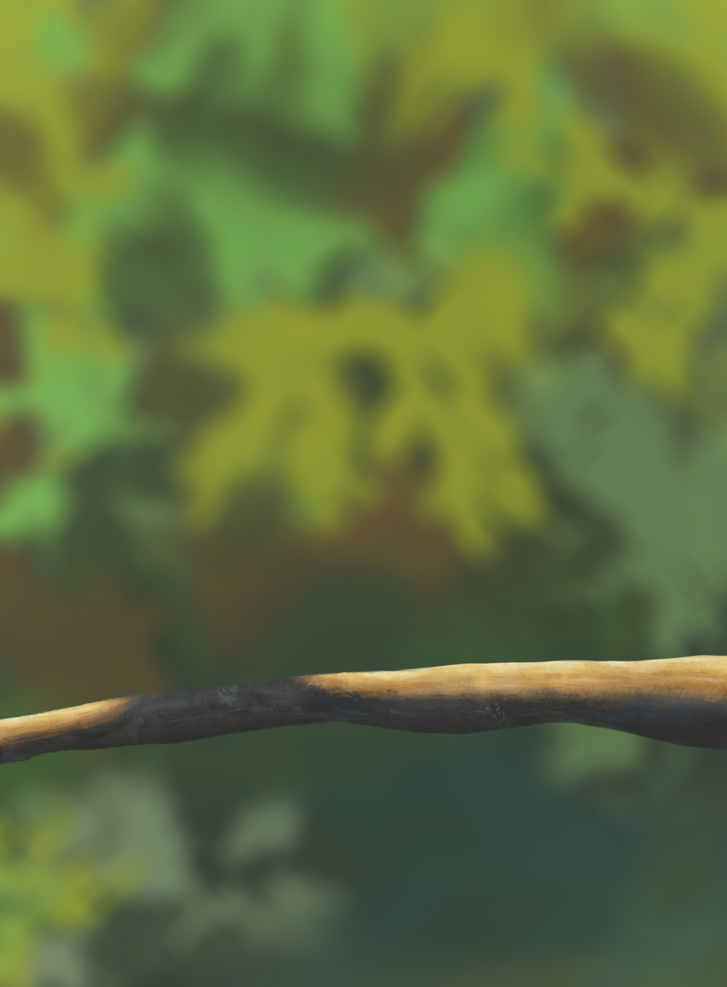 Exercice 5 oisillons jpav3.jpg.jpg