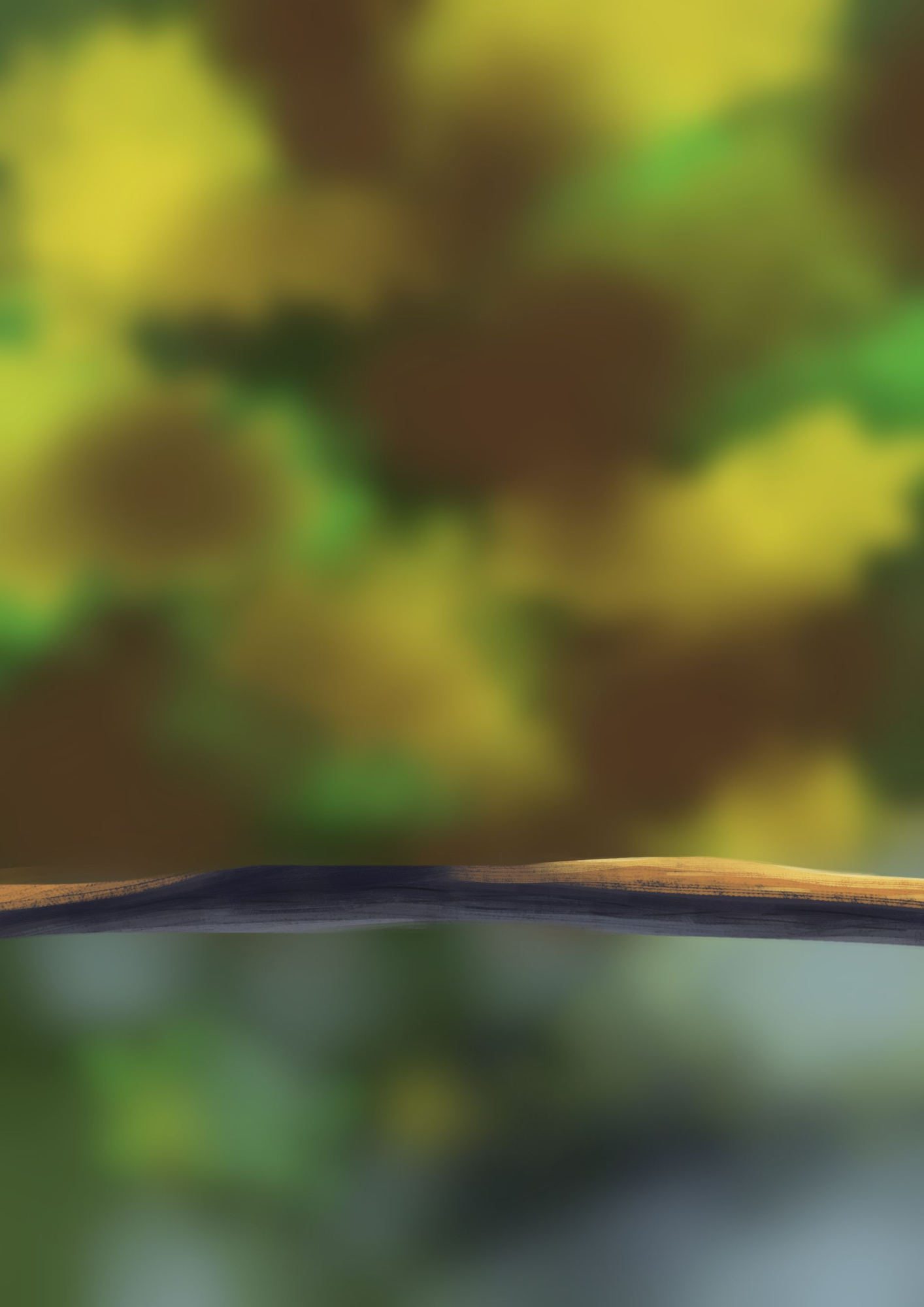 Oisillon étape 1.jpg