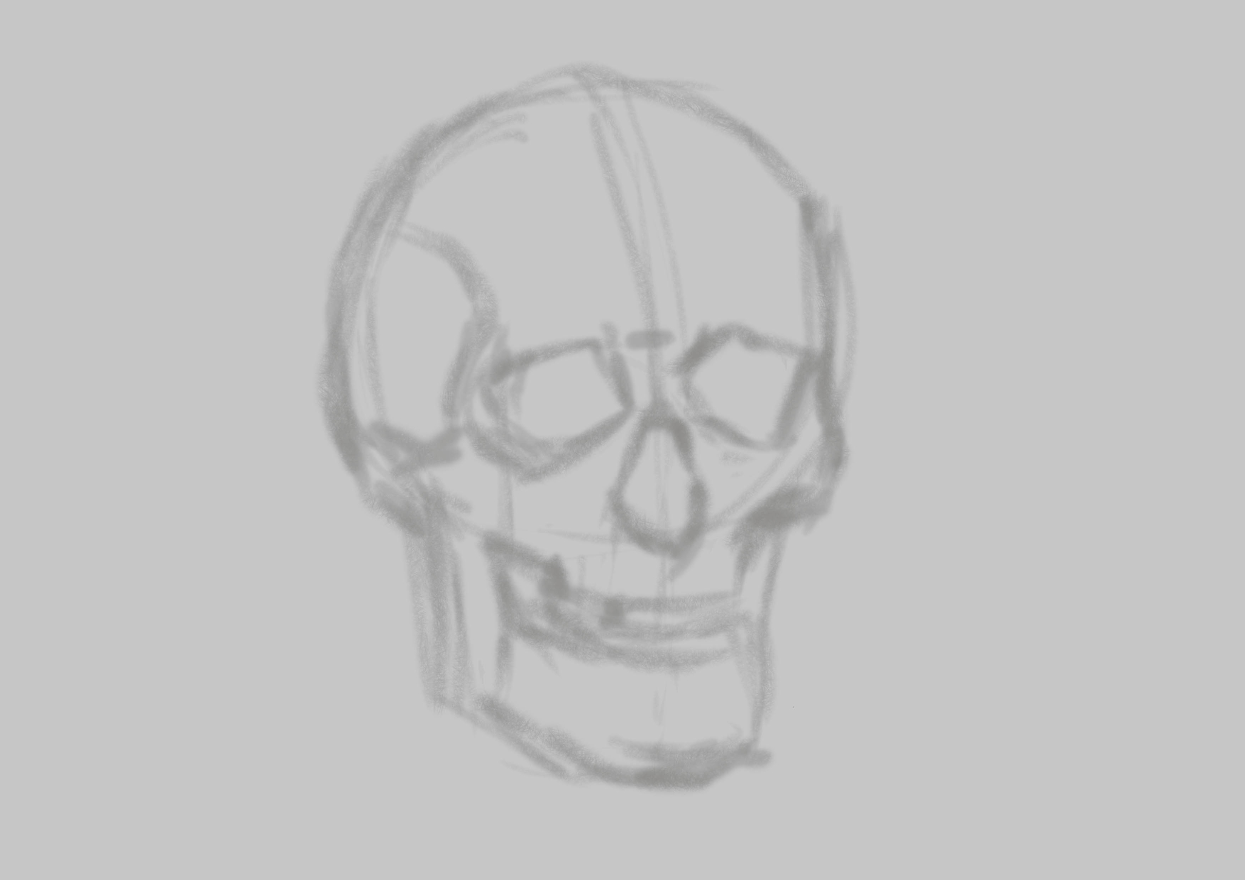 croquis crâne copie 1.jpg