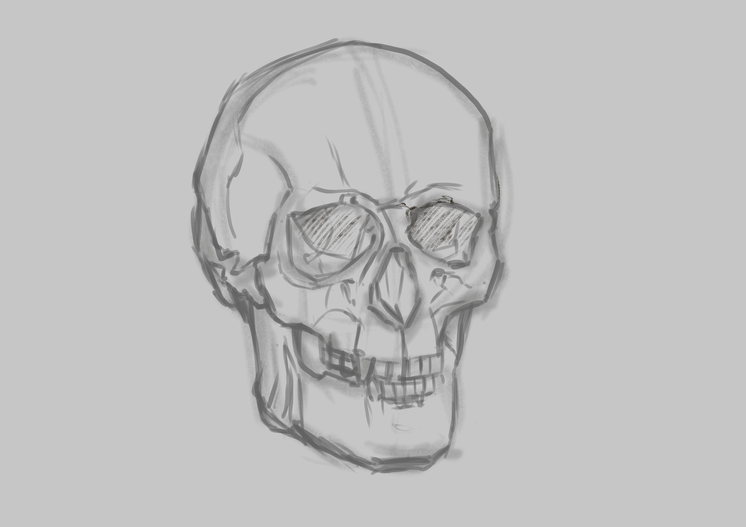 croquis crâne copie 2.jpg