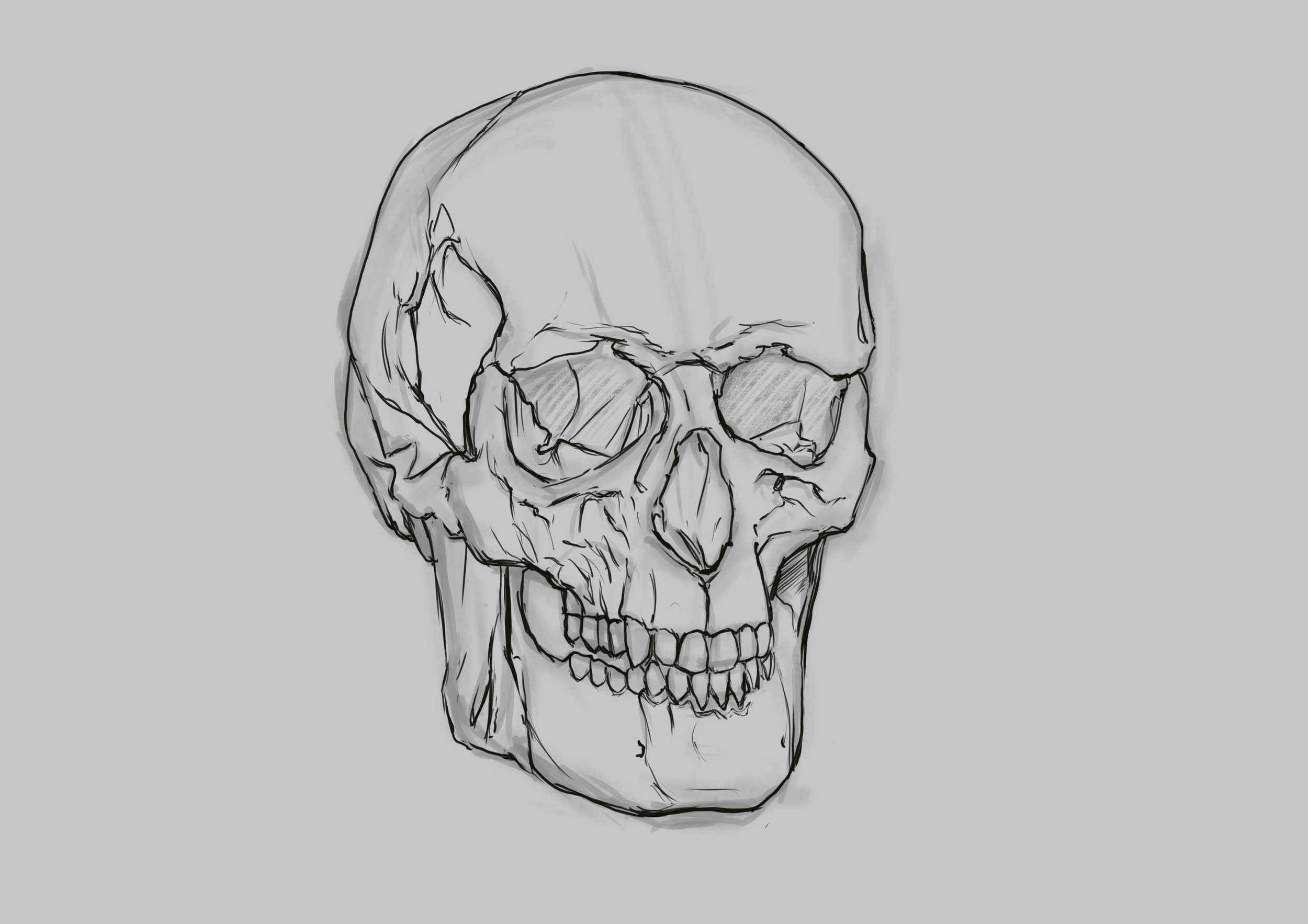 croquis crâne copie 3.jpg