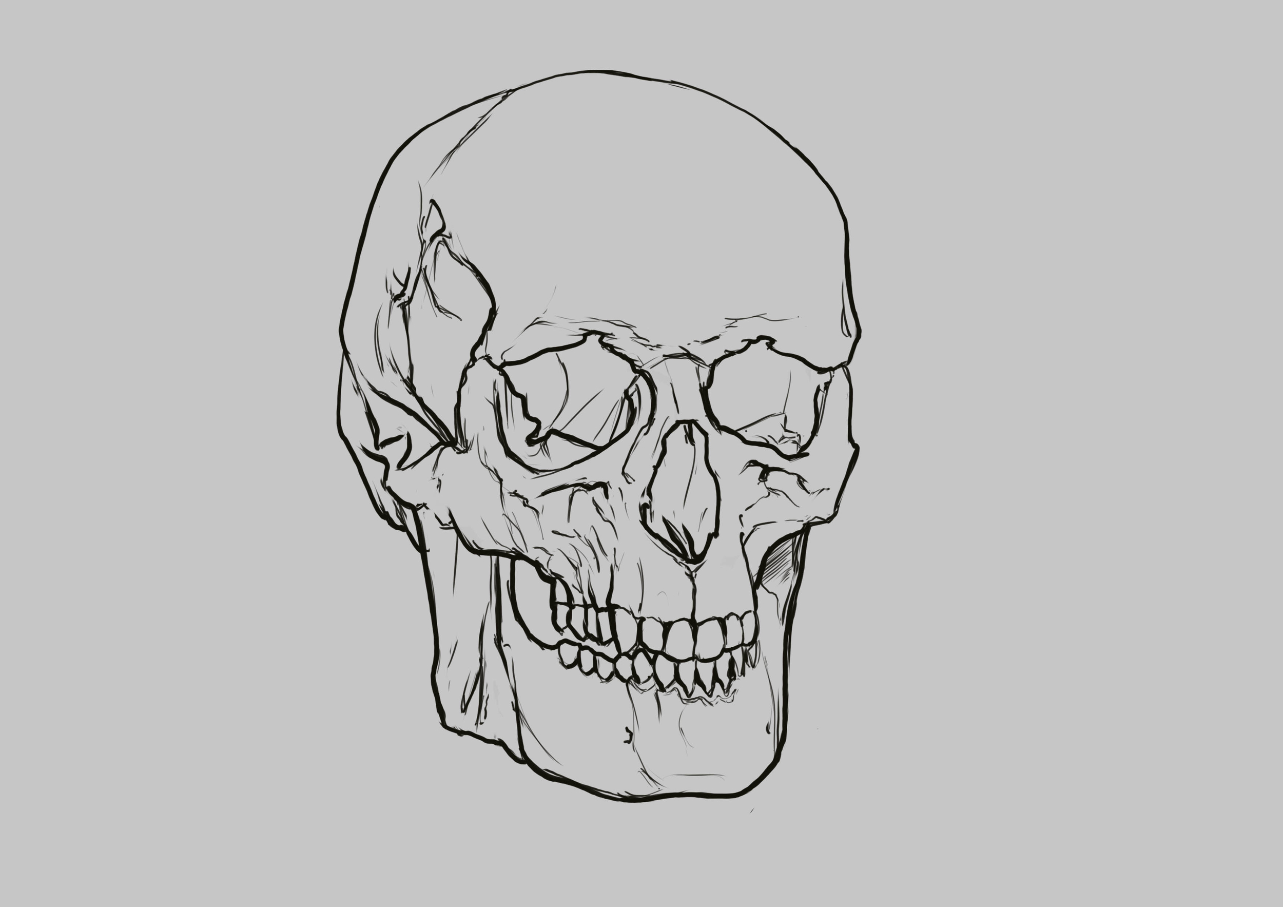 croquis crâne copie 4.jpg
