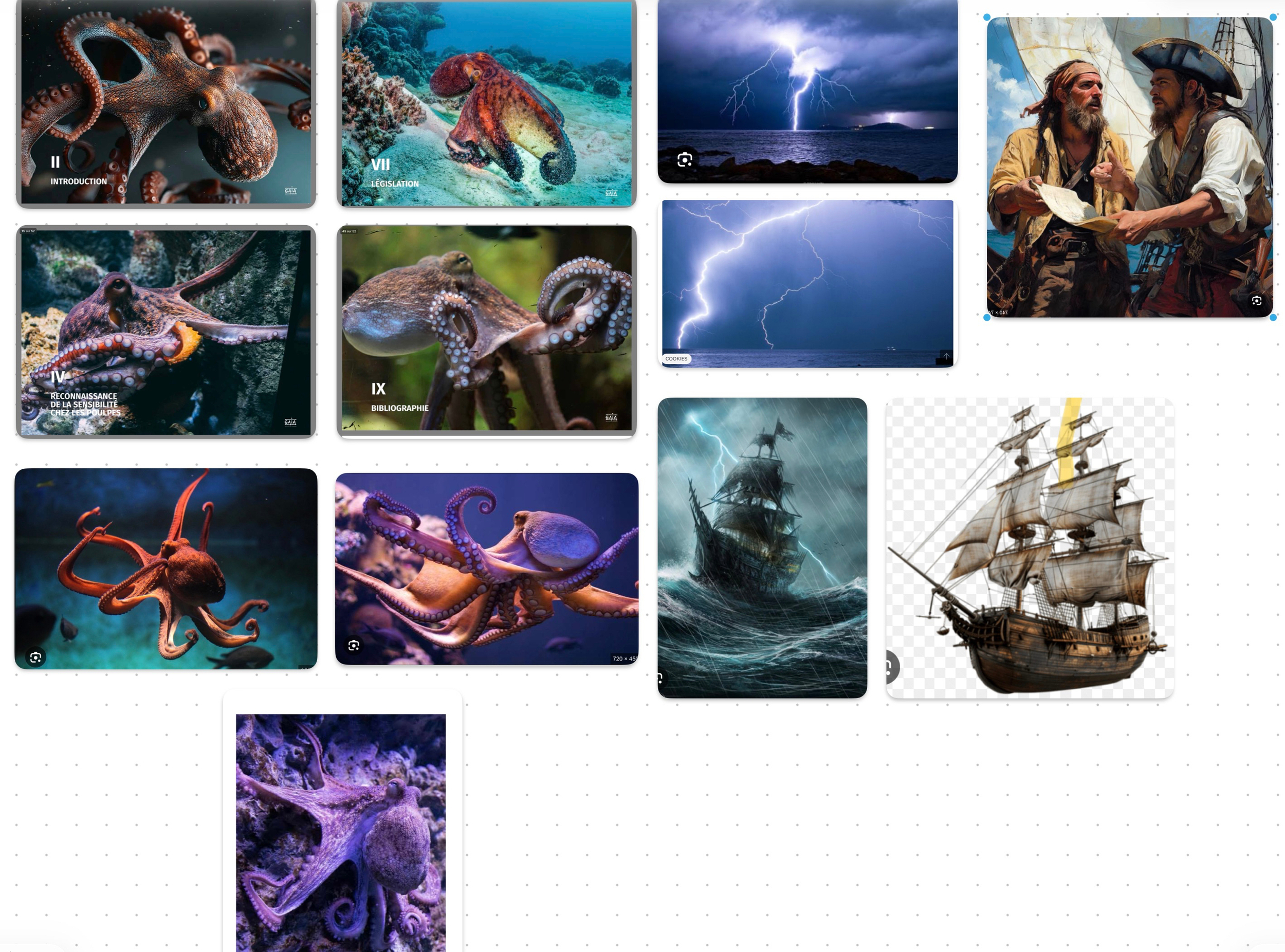 Capture d’écran . 2025-12-09 à 17.37.31.jpeg