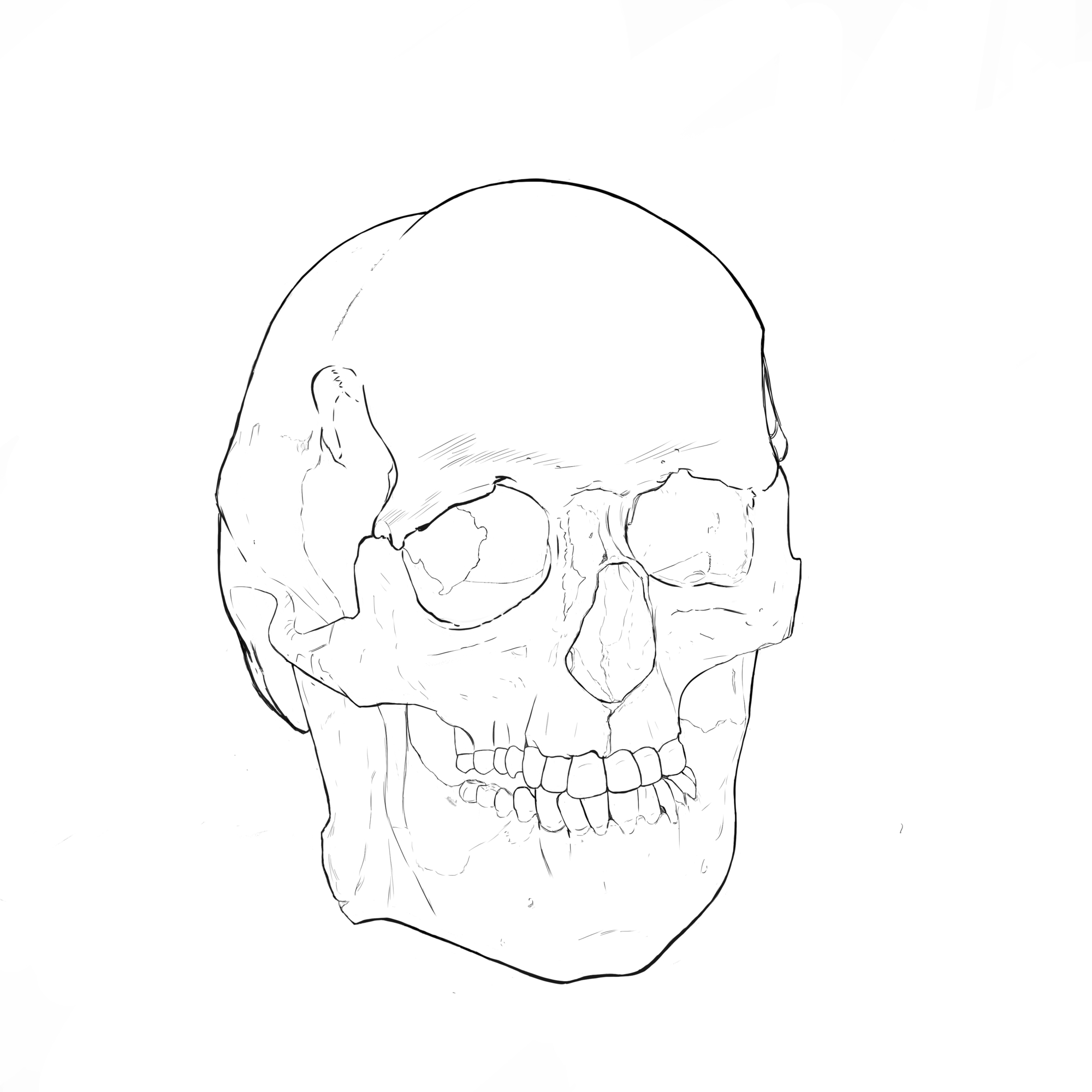 erxercice crane 2.jpg