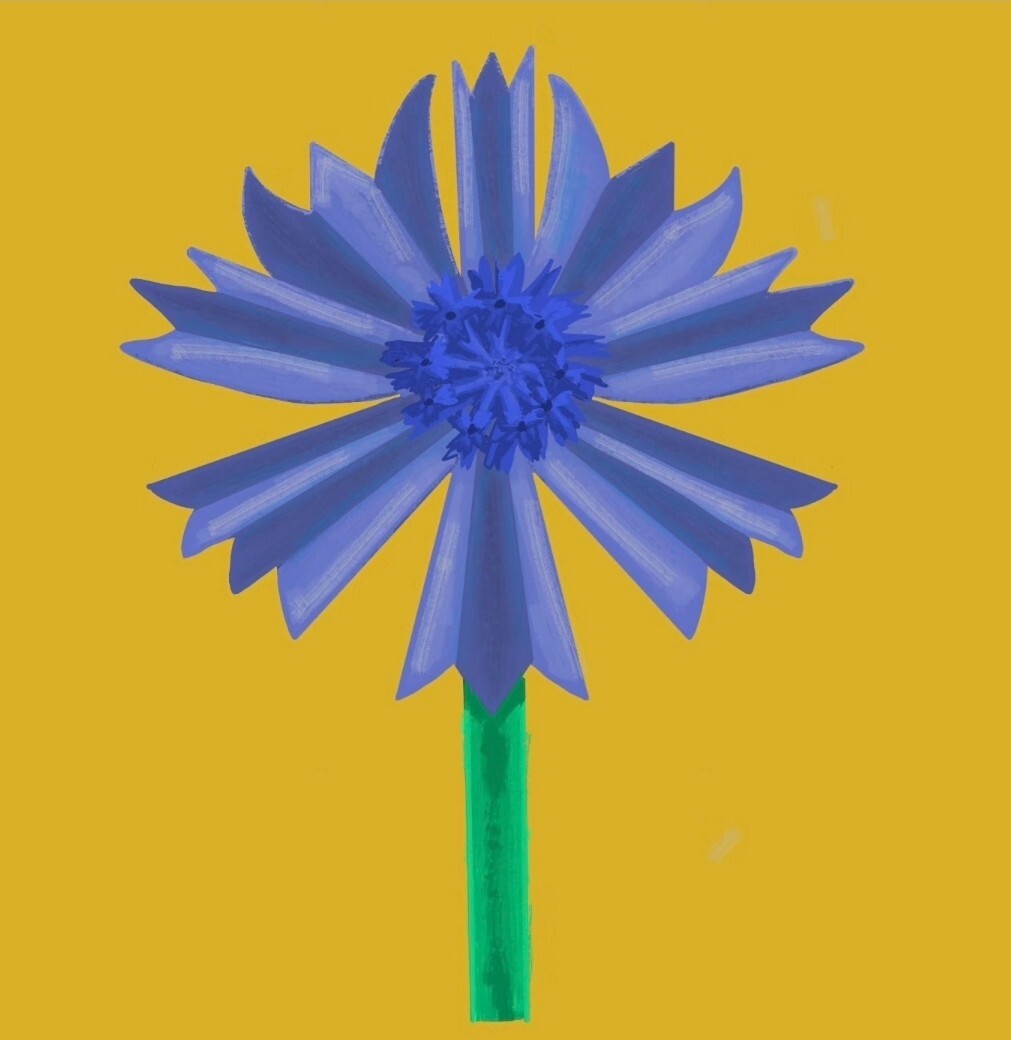 Screenshot_20261021_162205_Instagram.jpg.0c6aad7eab41c95e585fcbeb014b7a54.jpg