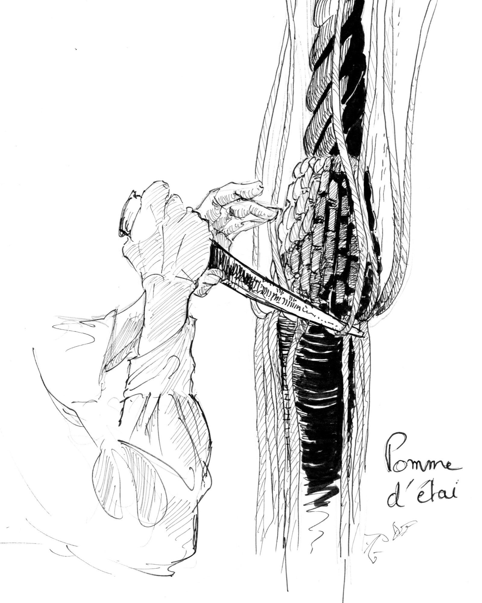 inktober1pommedtai.thumb.jpg.4260dedac60fe7d13dc8690b1b9afc80.jpg